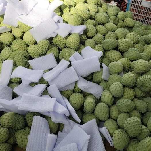 汕头凤梨释迦果电商一件代发装，顺丰包邮