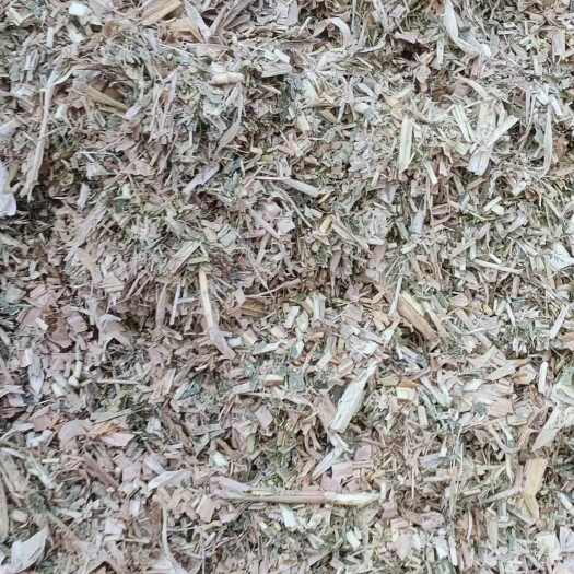 河间市大量青储黄储  牛羊饲料