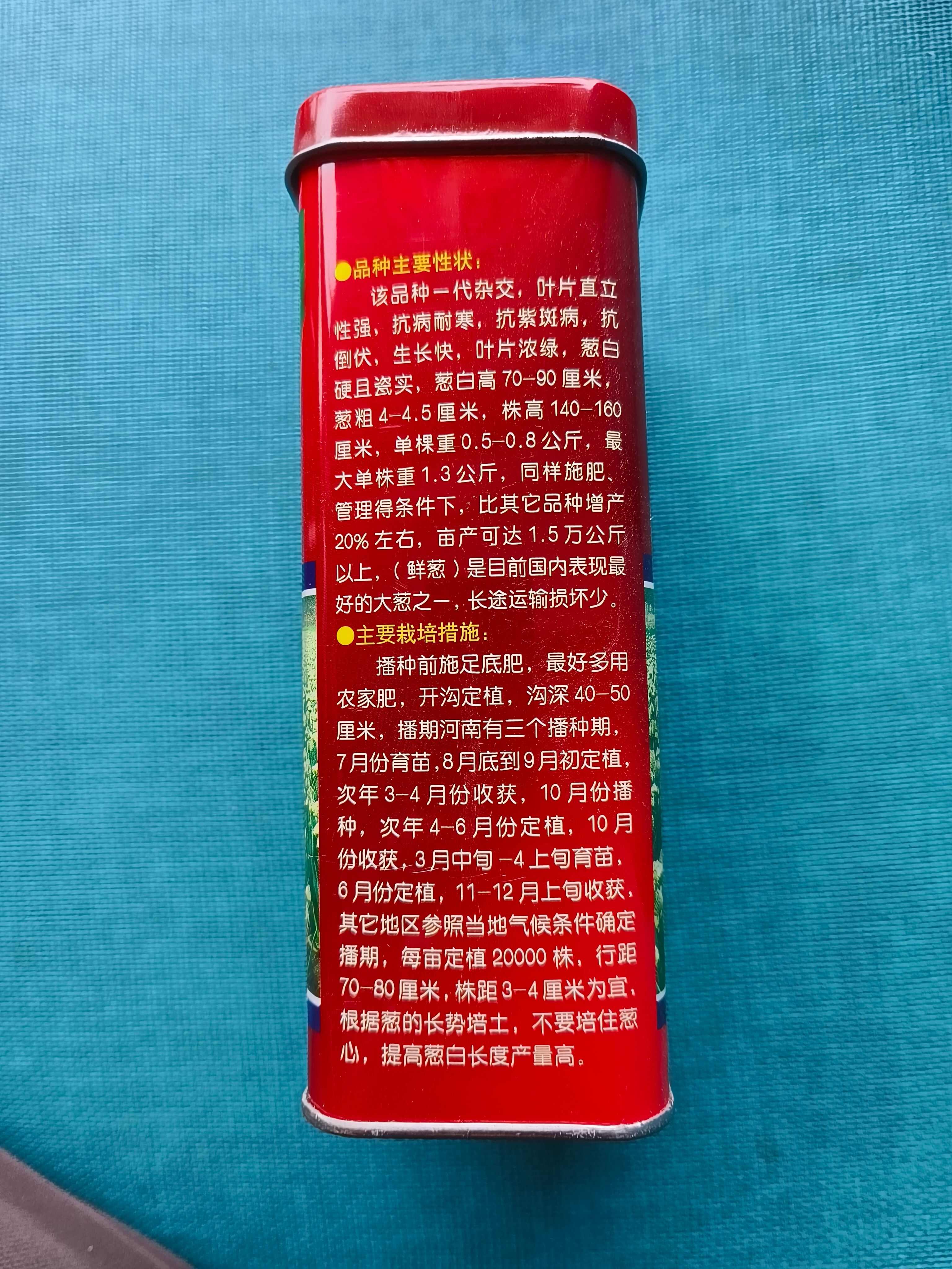 铁杆葱杂交品种抗病耐寒葱白硬且瓷实叶片直立