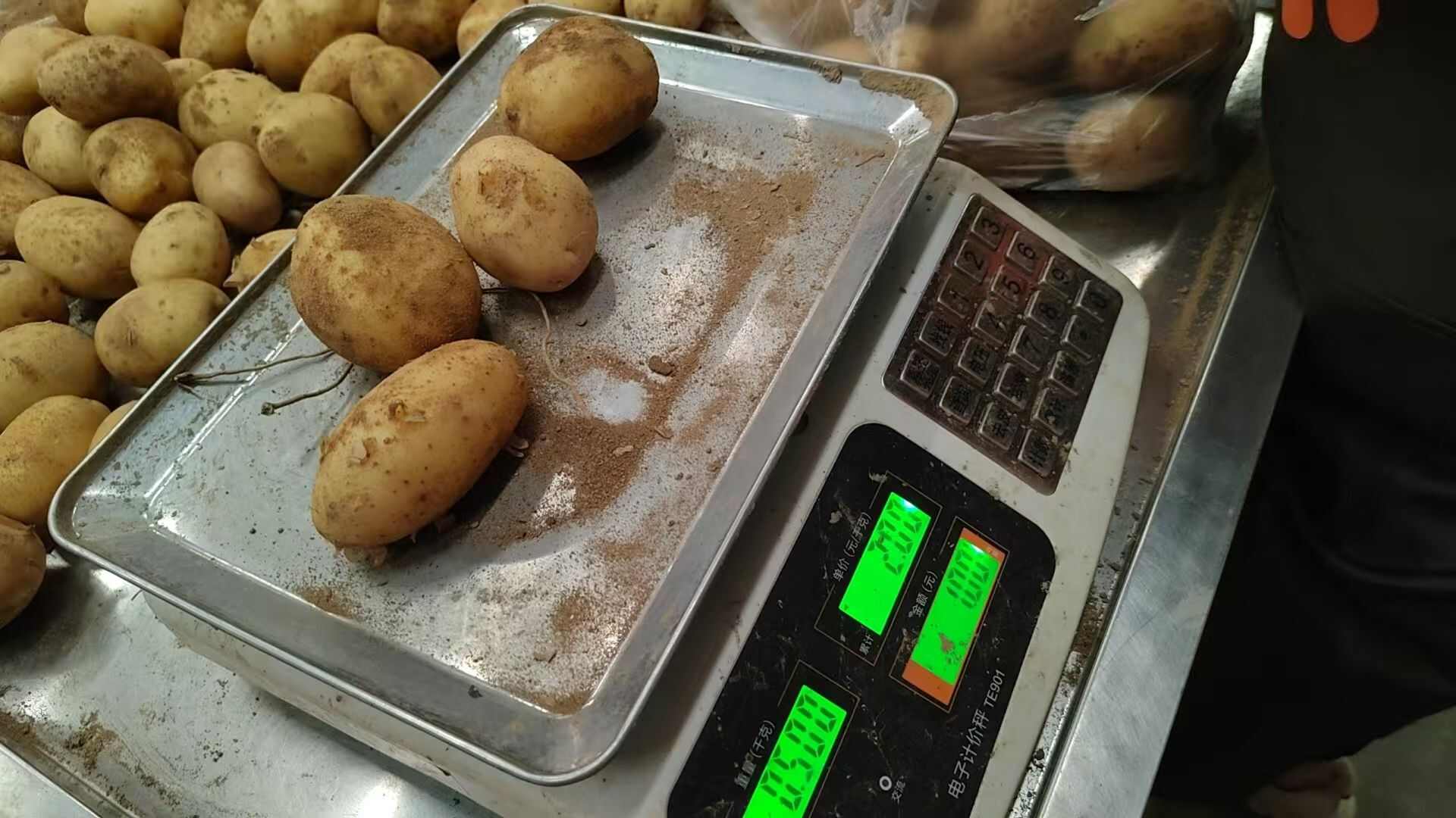 黄心土豆