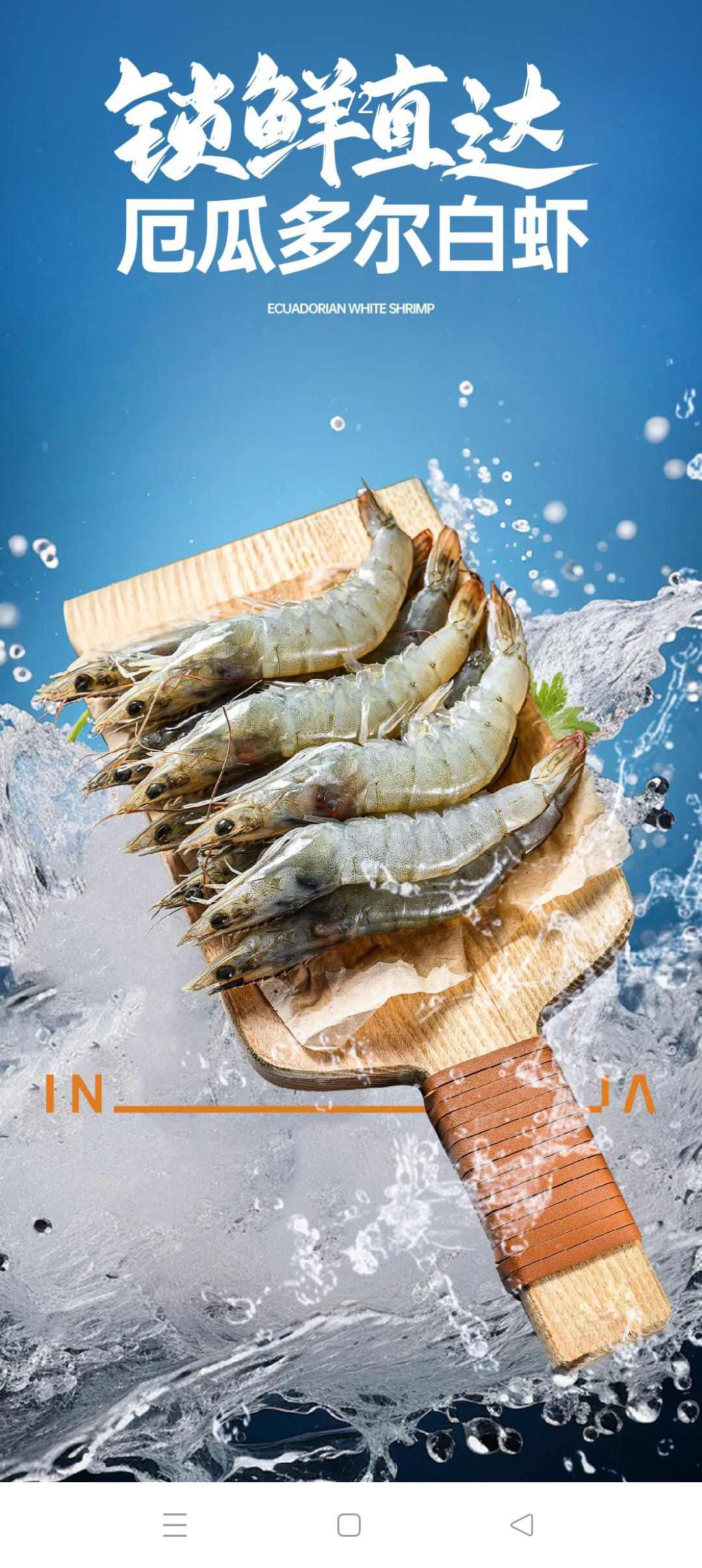 (厄瓜多尔南美）白对虾1.65kg/盒批发
