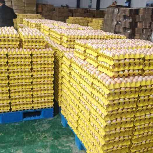 大名县精品无抗大厂鸡蛋，带检测报告让大家吃的放心，鸡场直发