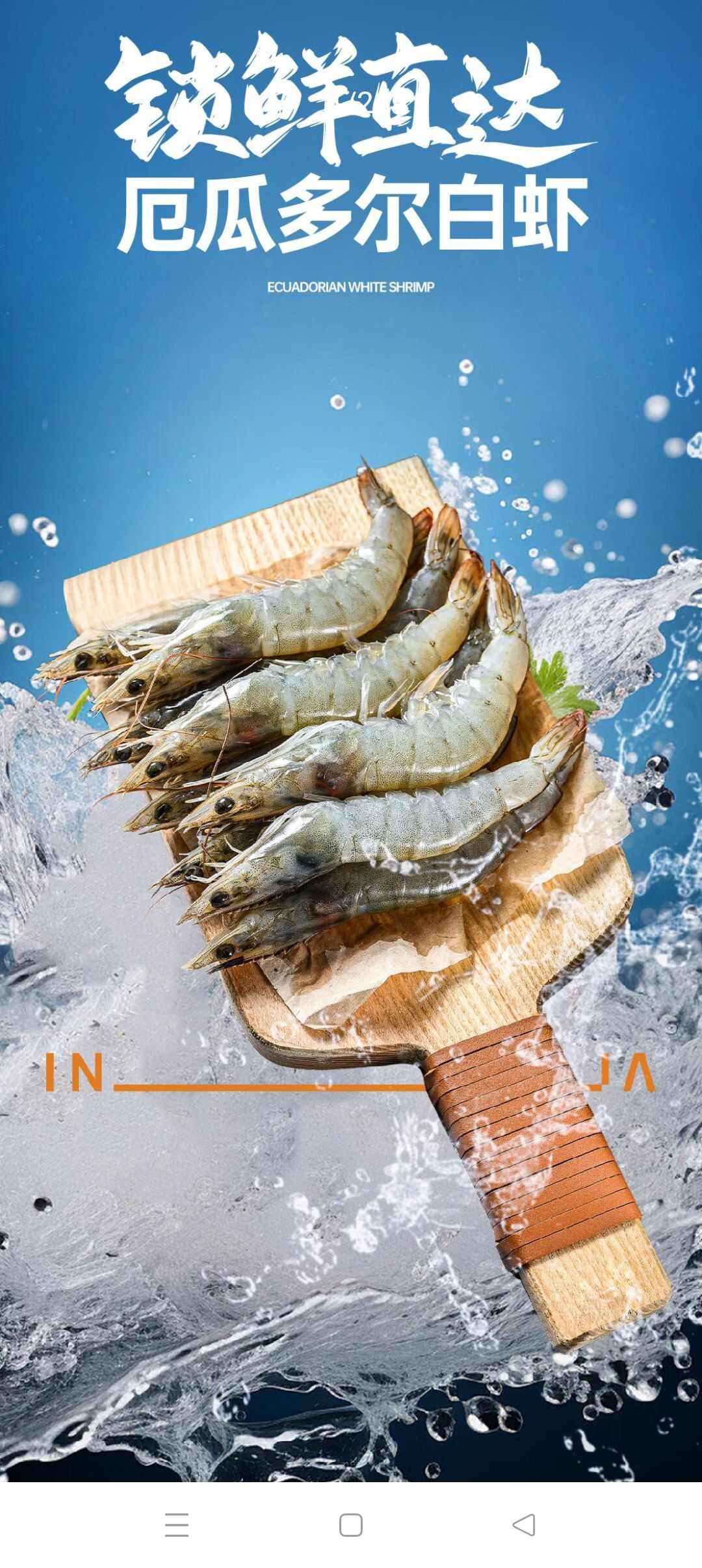 (厄瓜多尔南美）白对虾严选(30-40）1.65kg/盒