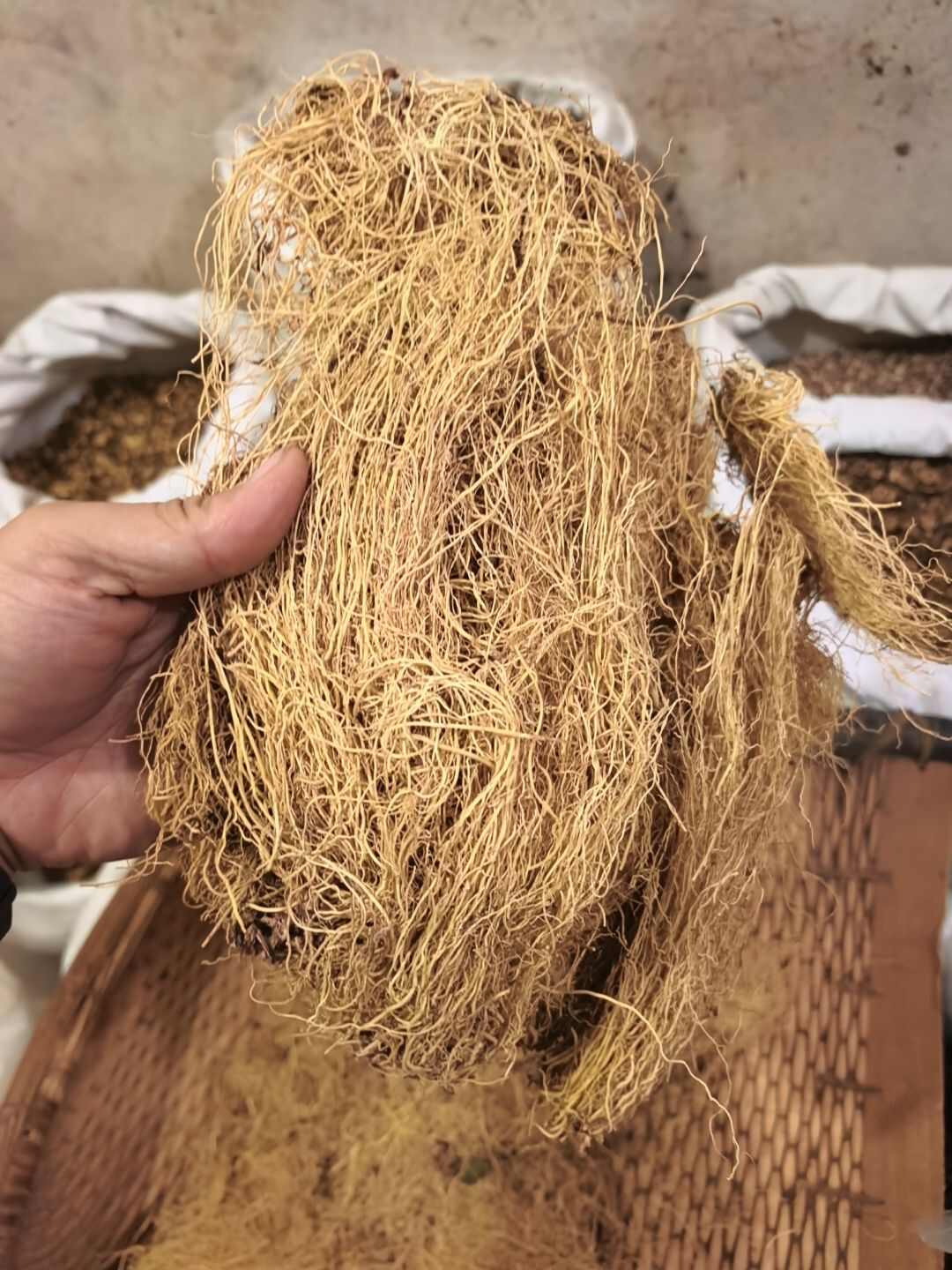 辽细辛 产地辽宁 今年新货上市 水洗细辛 干净泥沙 假一赔十