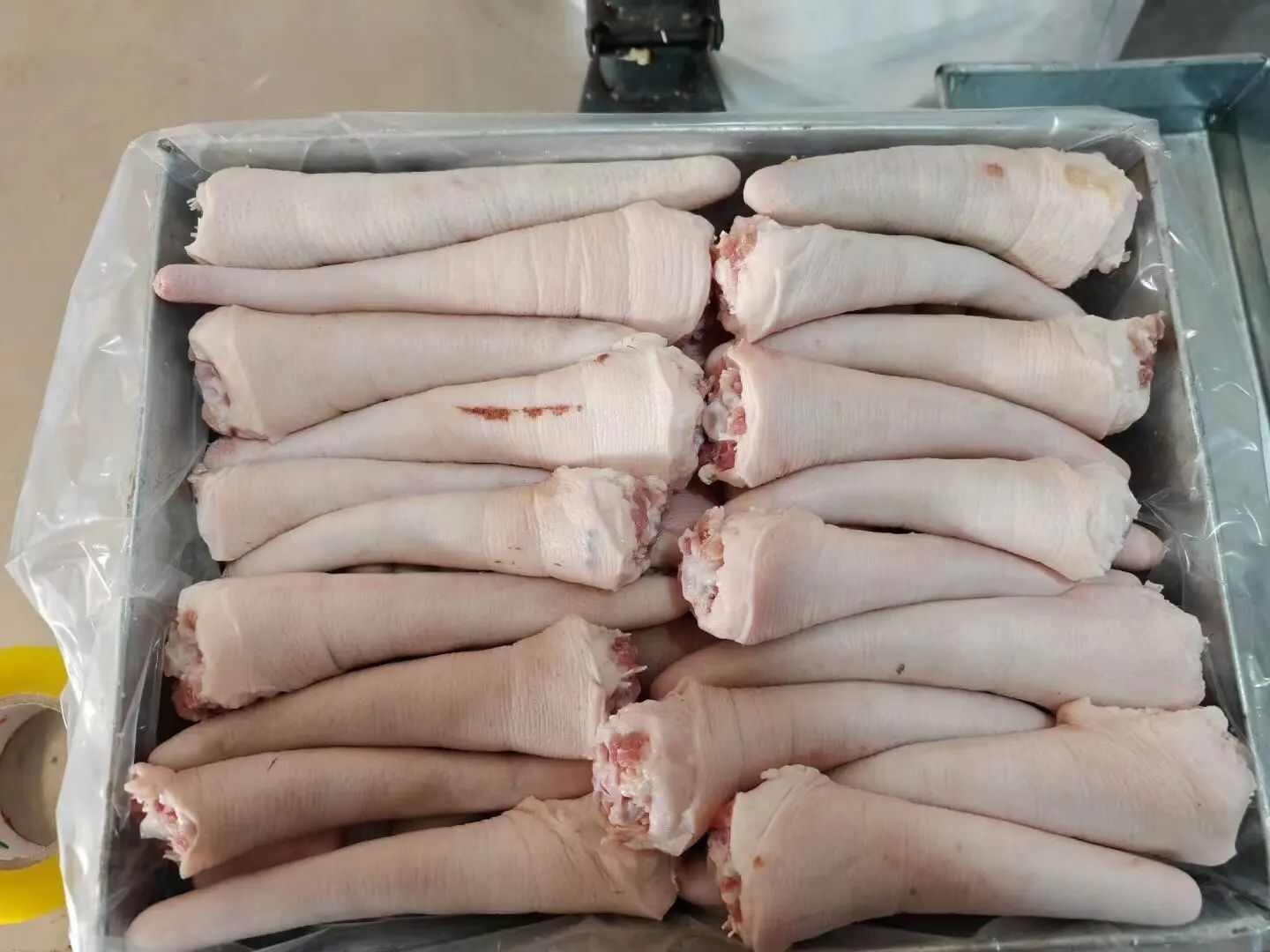 猪副产品 中长短猪尾巴 新鲜冷冻 胶质满满