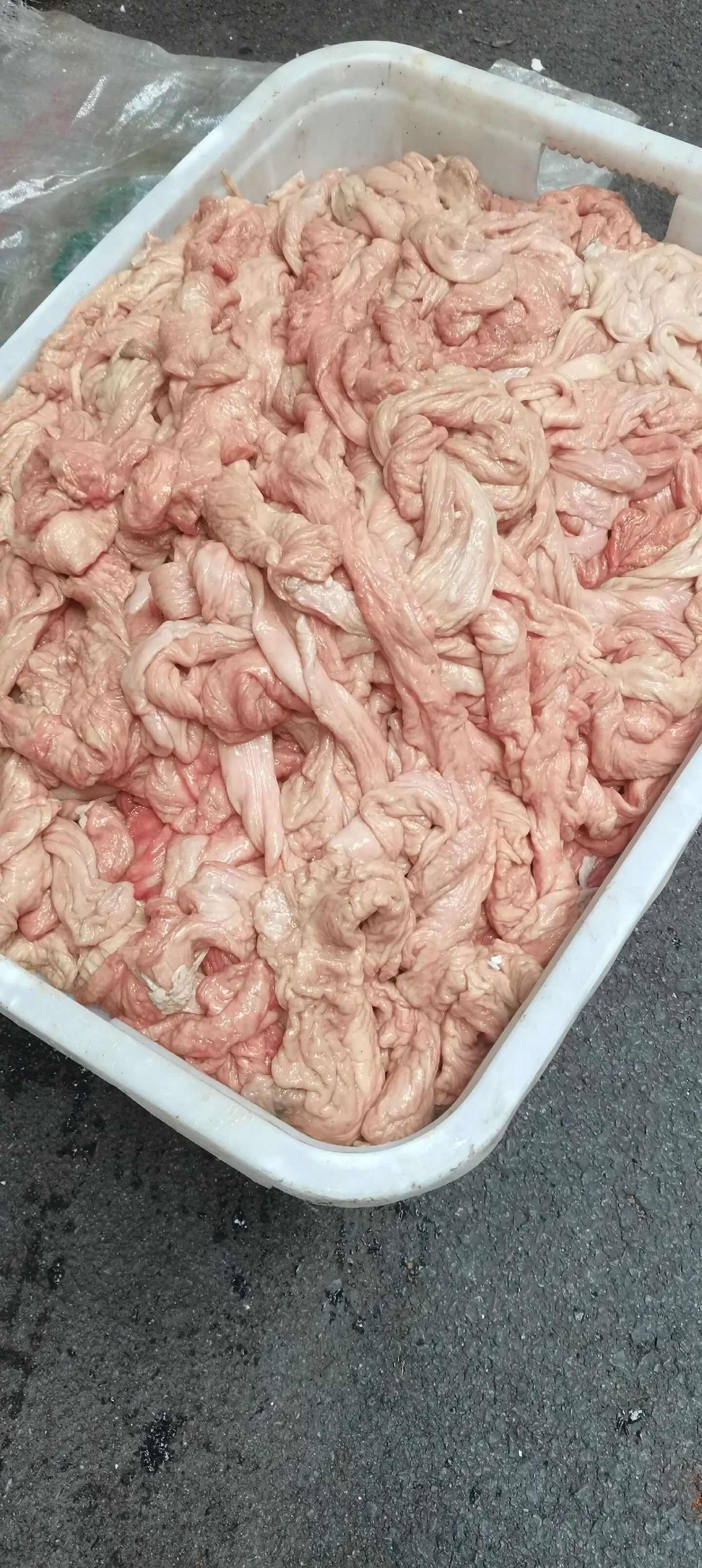 猪副产品 新鲜猪肠 紧水猪大肠 冻品肥肠