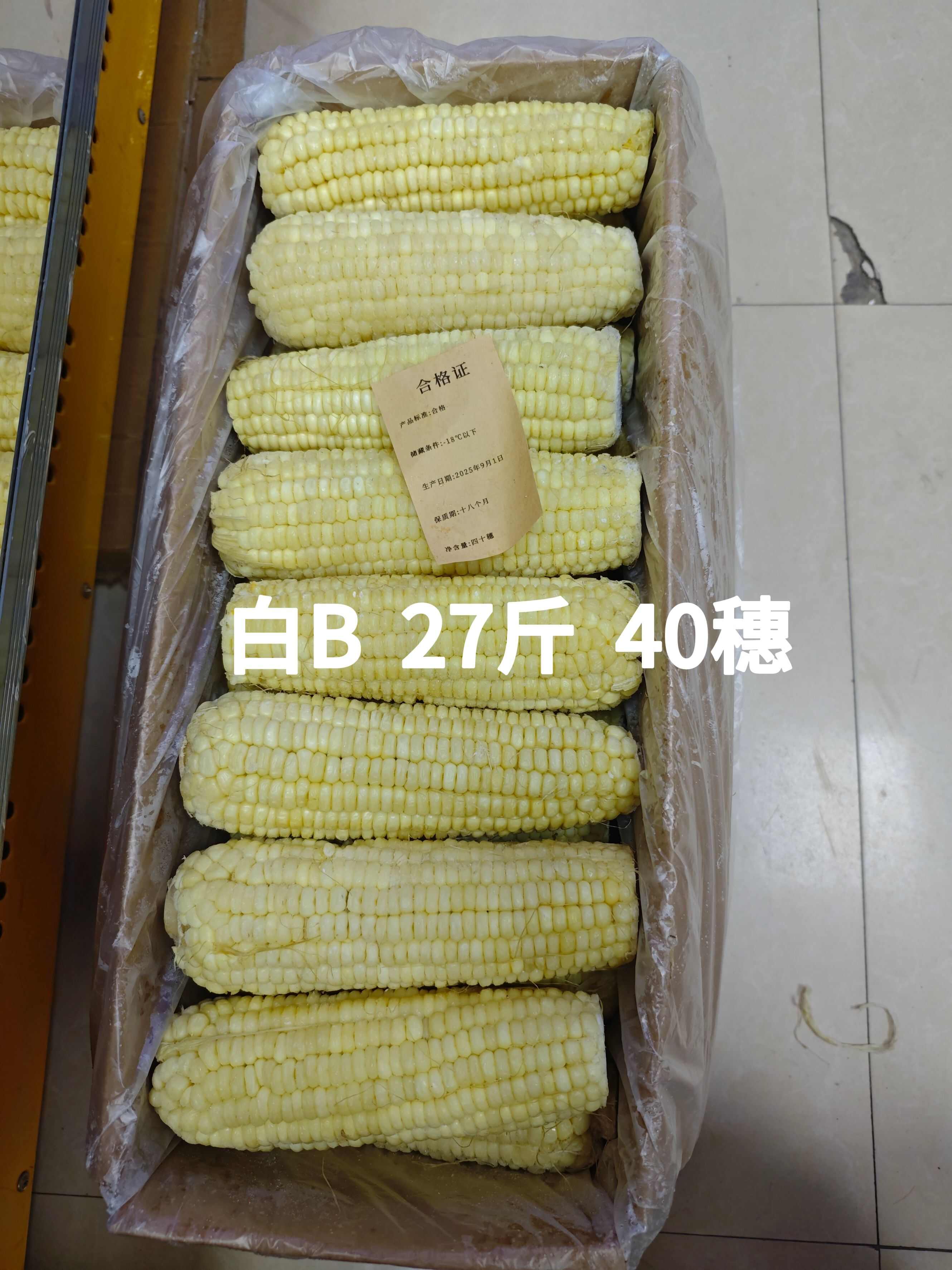 东北糯玉米-黄白双色
