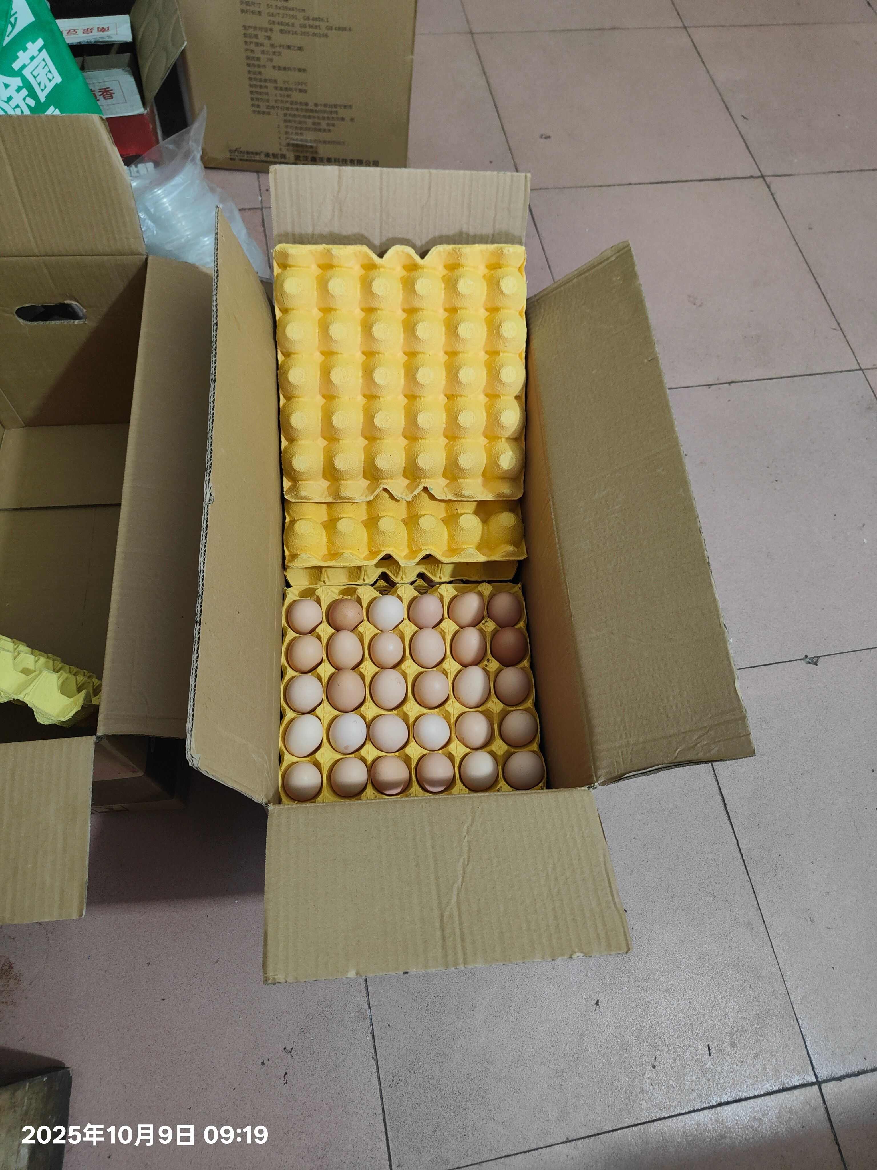土鸡蛋湖北产地直发38斤左右，360/箱，农一，农五