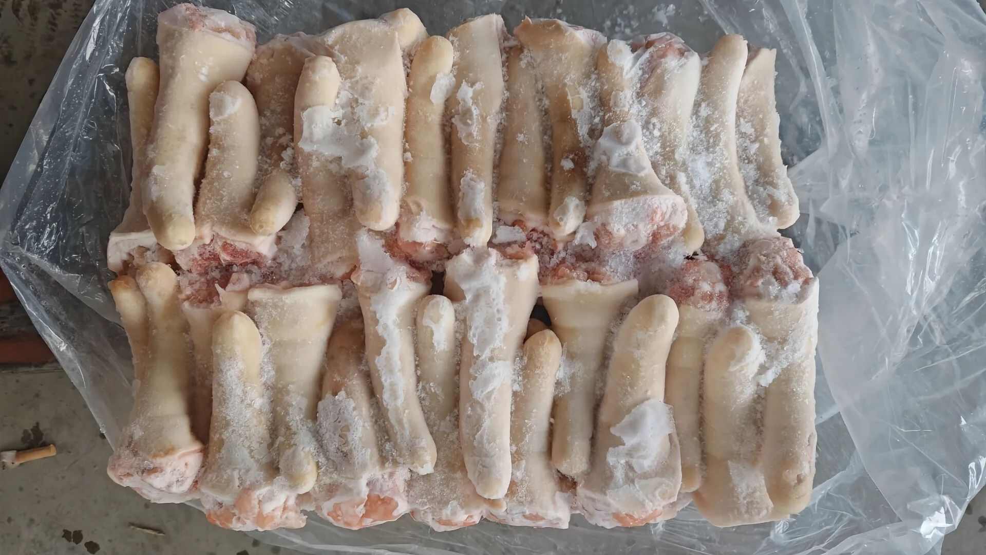 猪副产品 中长短猪尾巴 新鲜冷冻 胶质丰富