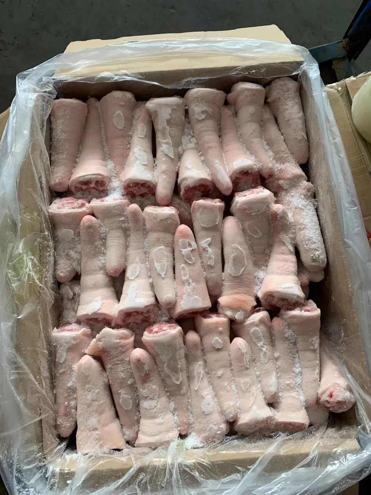 猪副产品 中长短猪尾巴 新鲜冷冻 胶质丰富