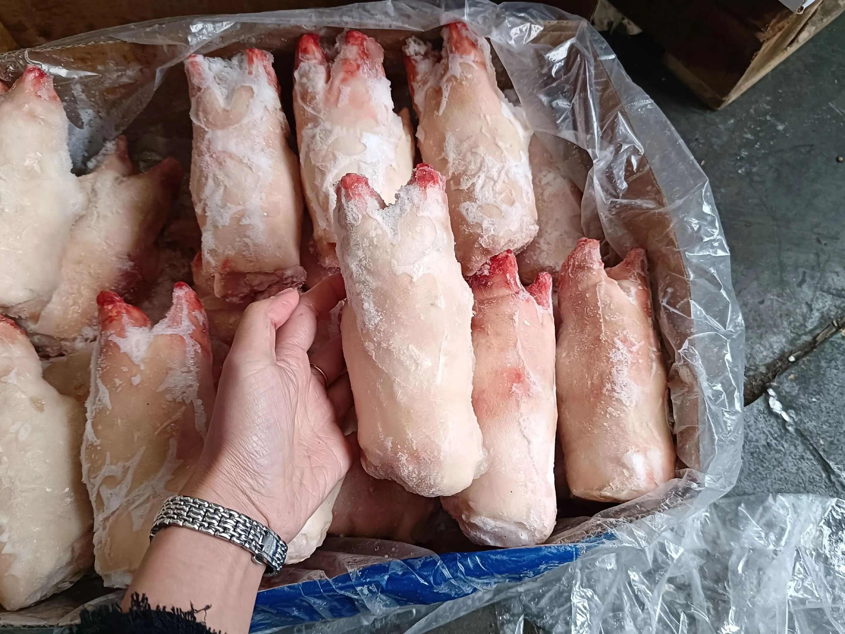 猪副产品 前猪脚猪蹄 筋多肉肥 胶质丰腴