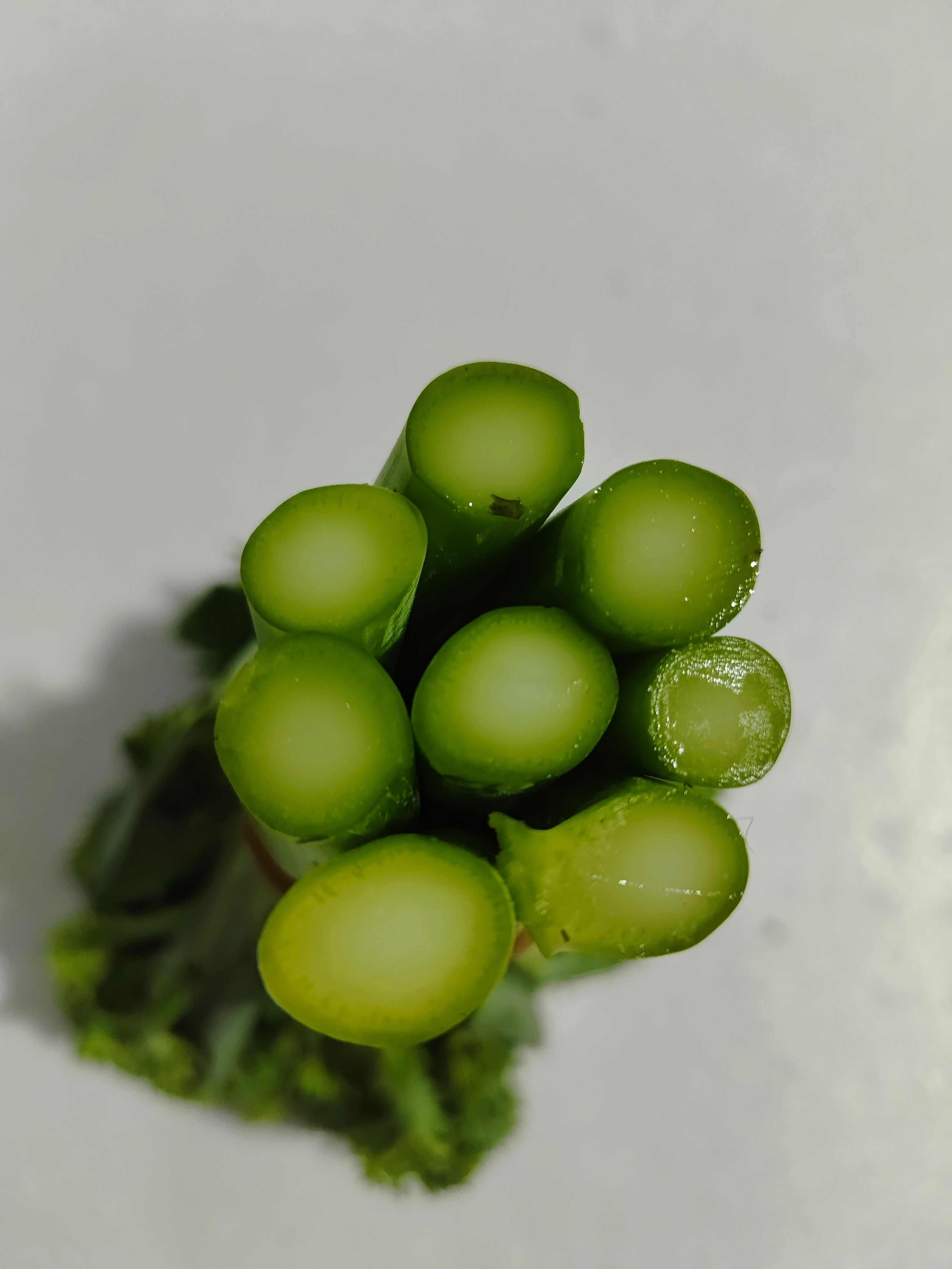 云南高原甜杆西兰苔 新鲜西兰苔蔬菜产地直供
