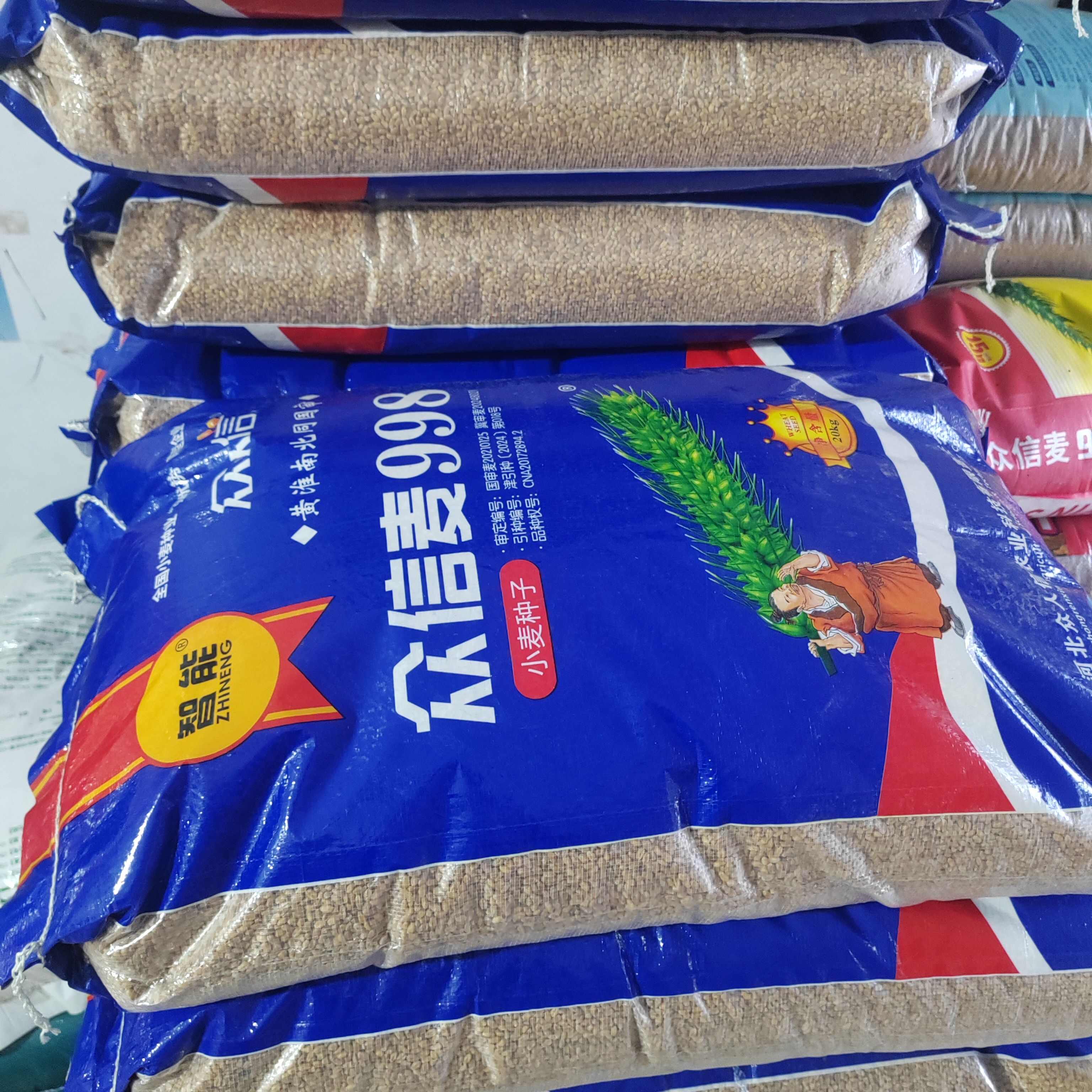 众信麦998小麦种国审每袋40斤原装发货