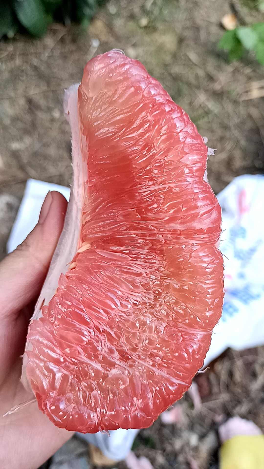 平和琯溪三红蜜柚红心柚