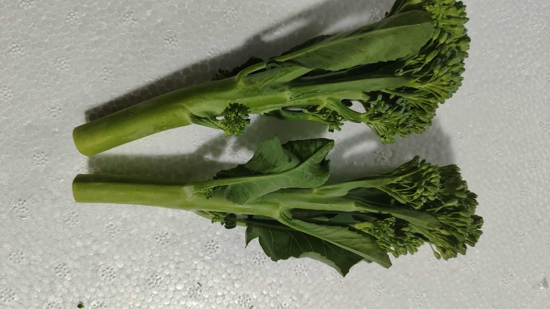 云南高原甜杆西兰苔 新鲜西兰苔蔬菜产地直供