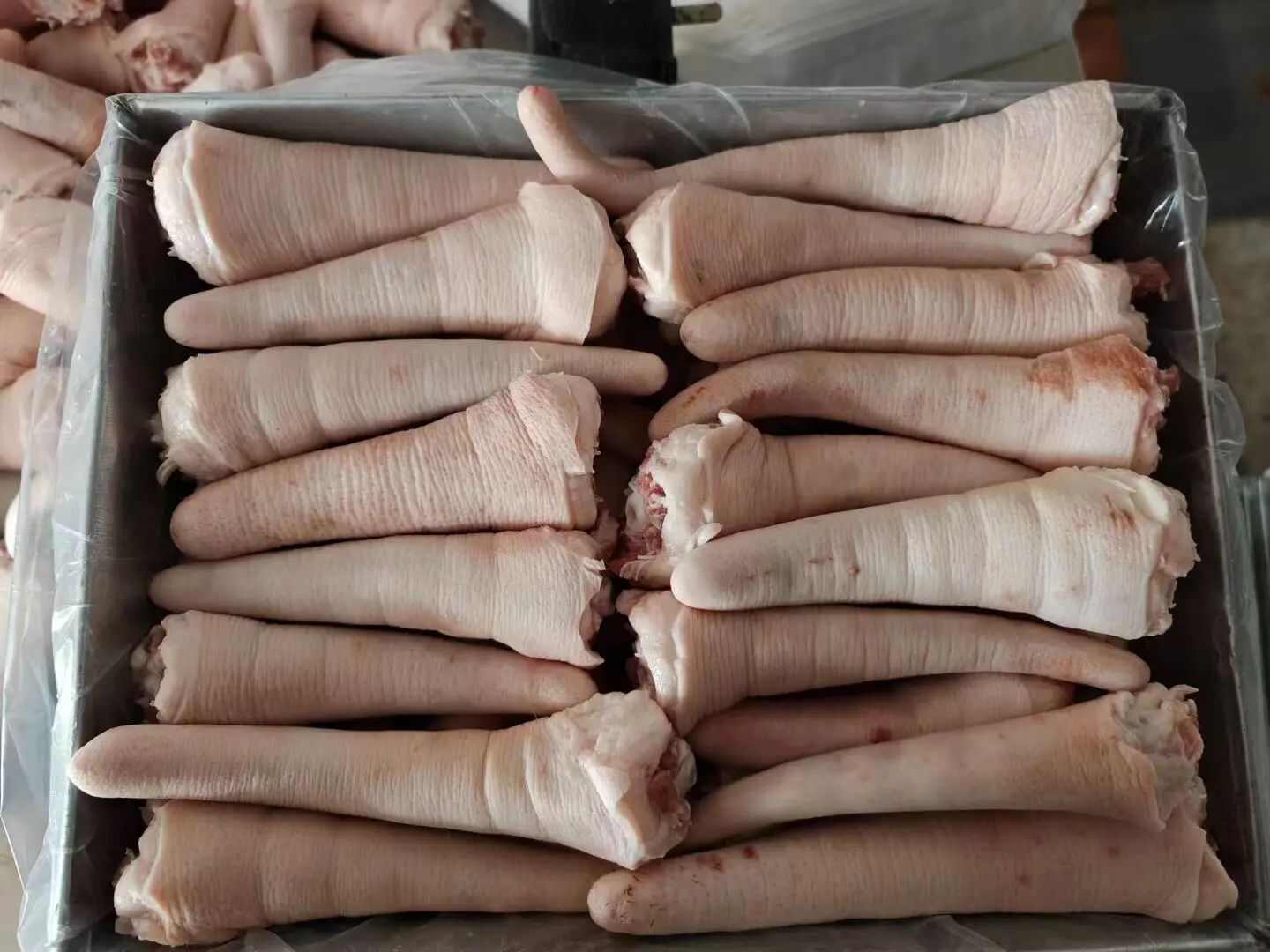 猪副产品 中长短猪尾巴 新鲜冷冻 胶质满满