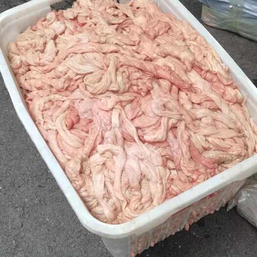 猪副产品 新鲜猪肠 紧水猪大肠 冻品肥肠