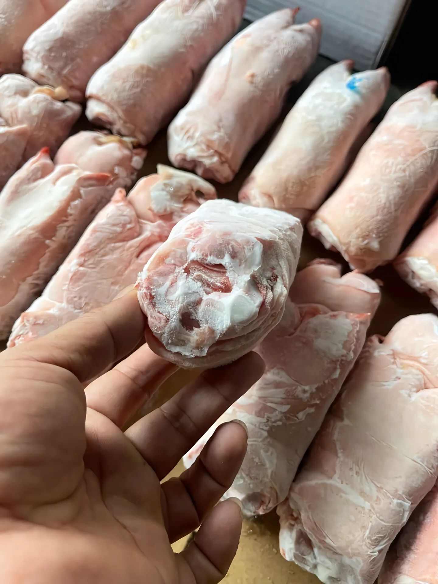 猪副产品 前猪脚猪蹄 筋多肉肥 胶质丰腴