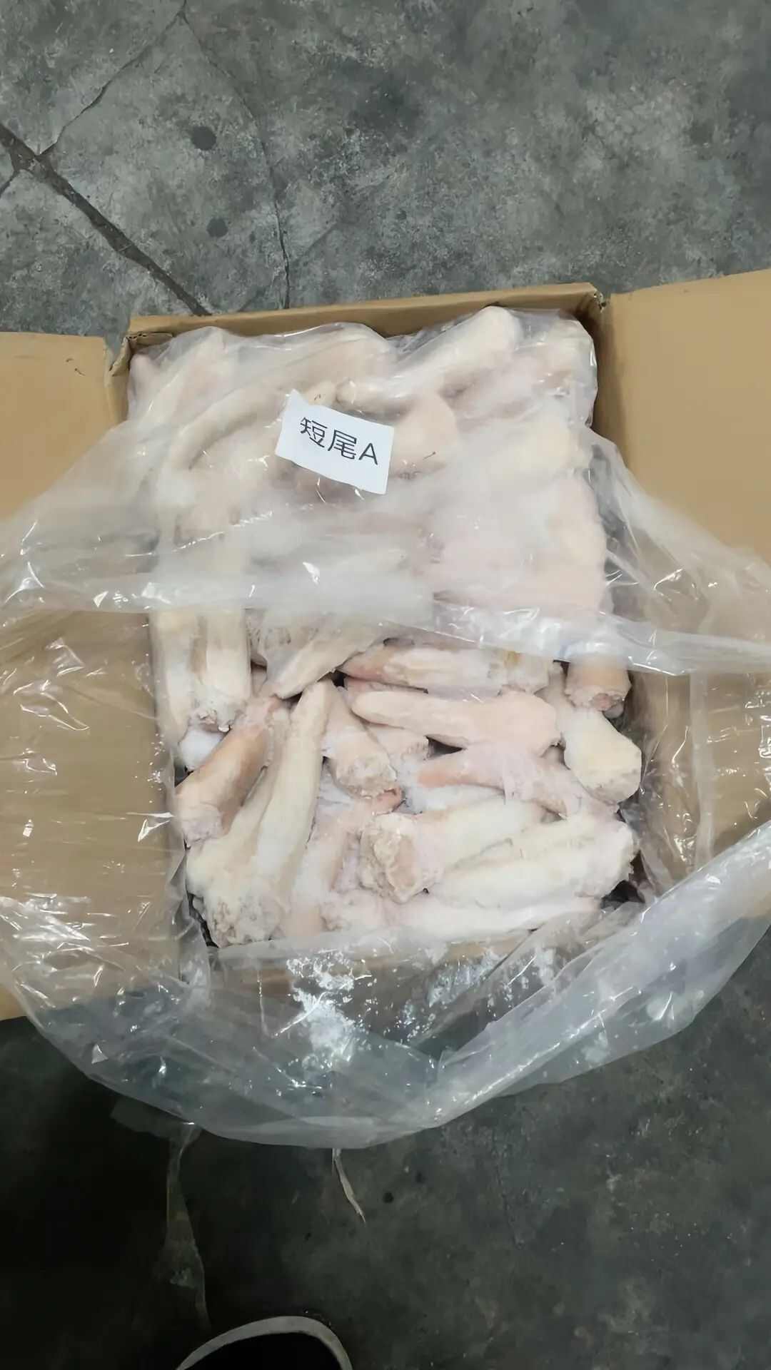 猪副产品 中长短猪尾巴 新鲜冷冻 胶质丰富