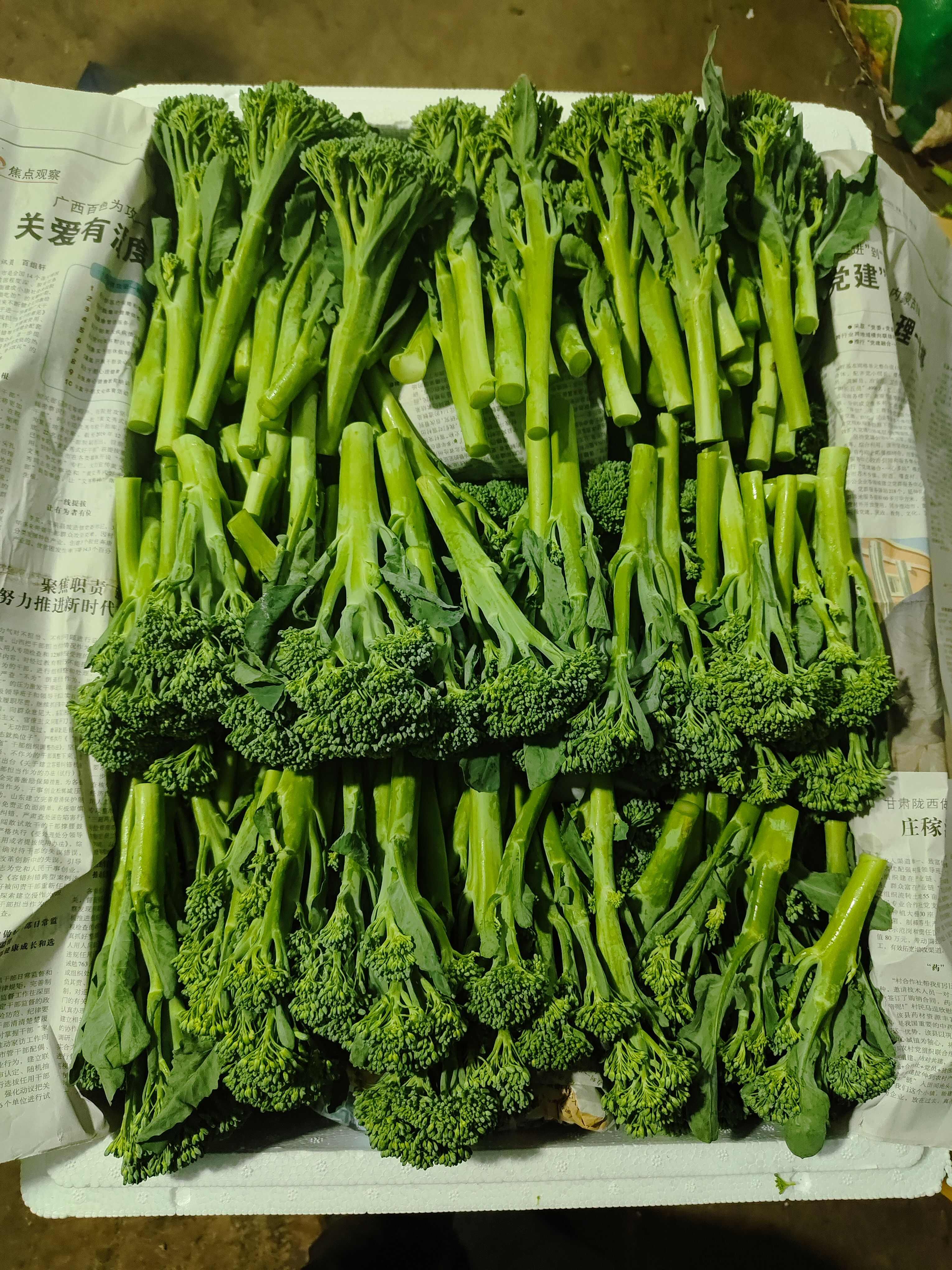 云南高原甜杆西兰苔 新鲜西兰苔蔬菜产地直供