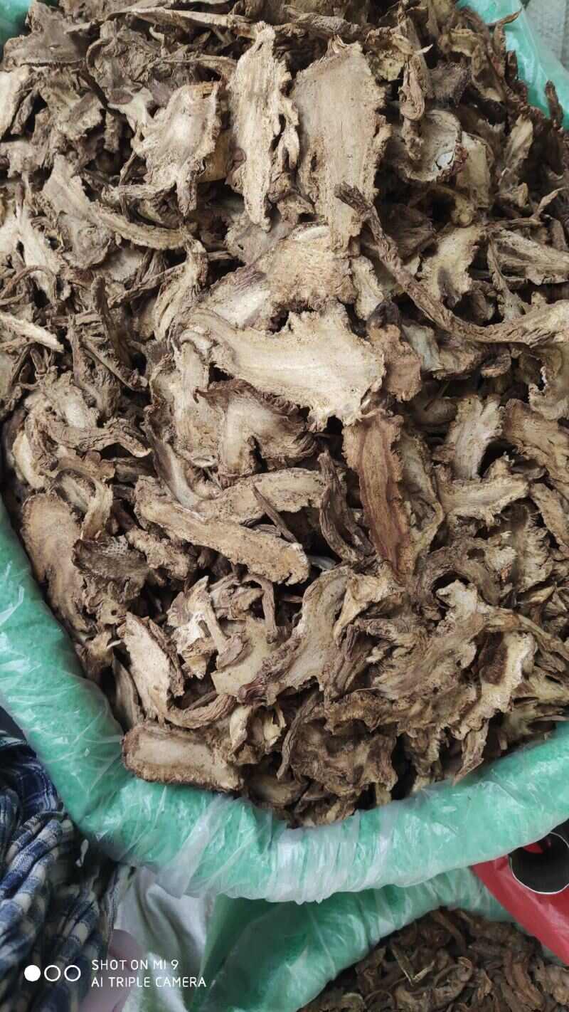 独活