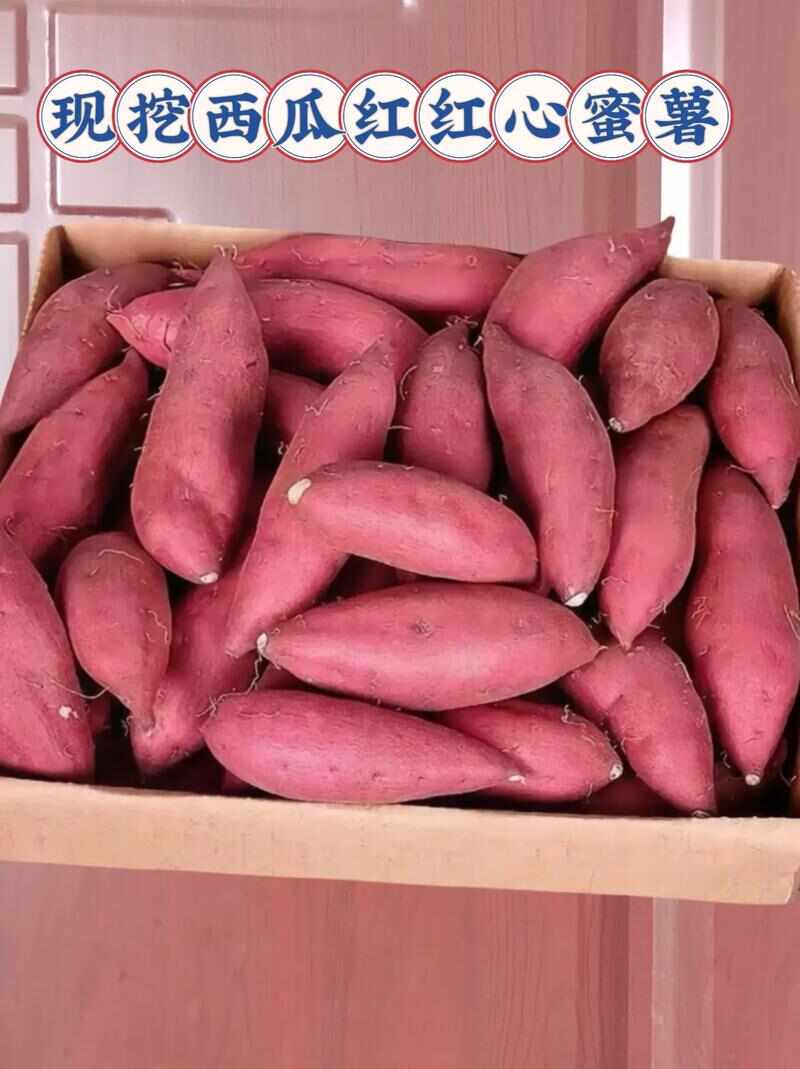西瓜红