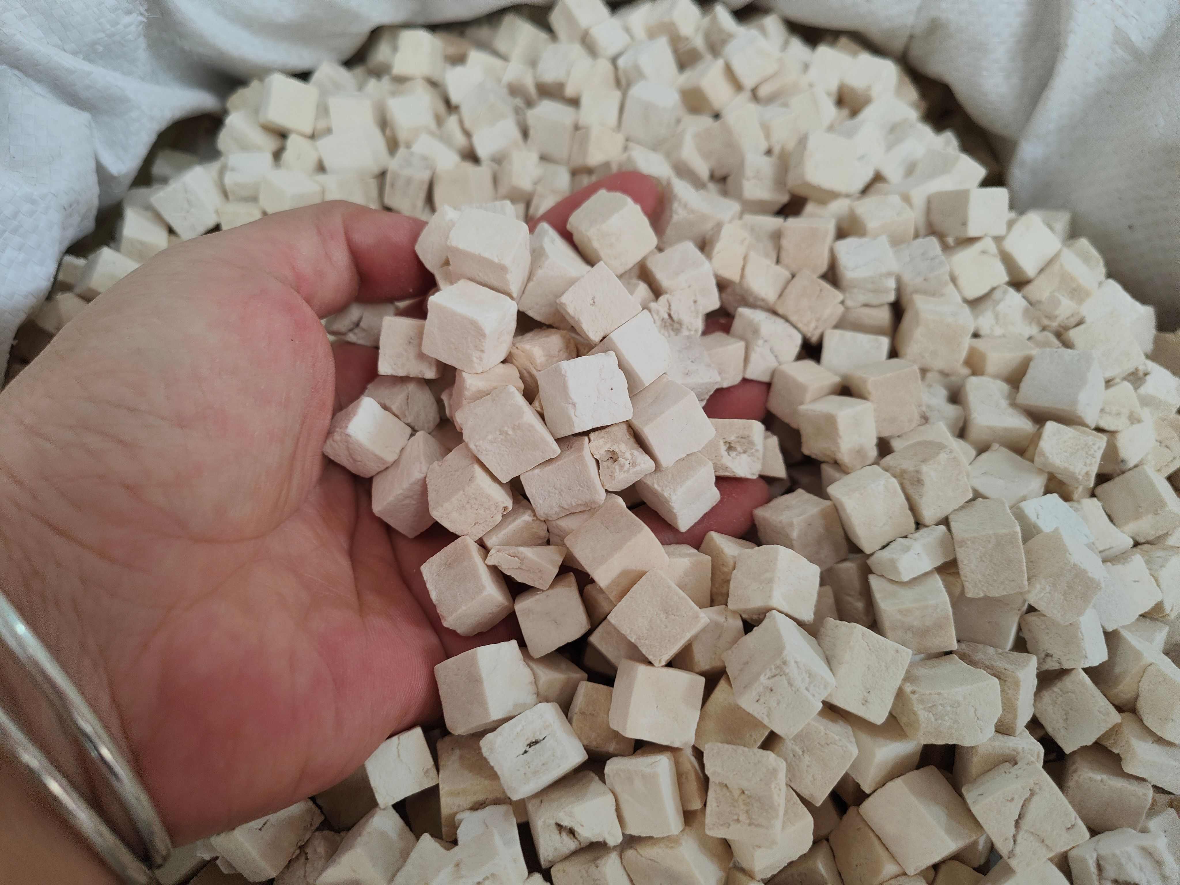 中药材茯苓