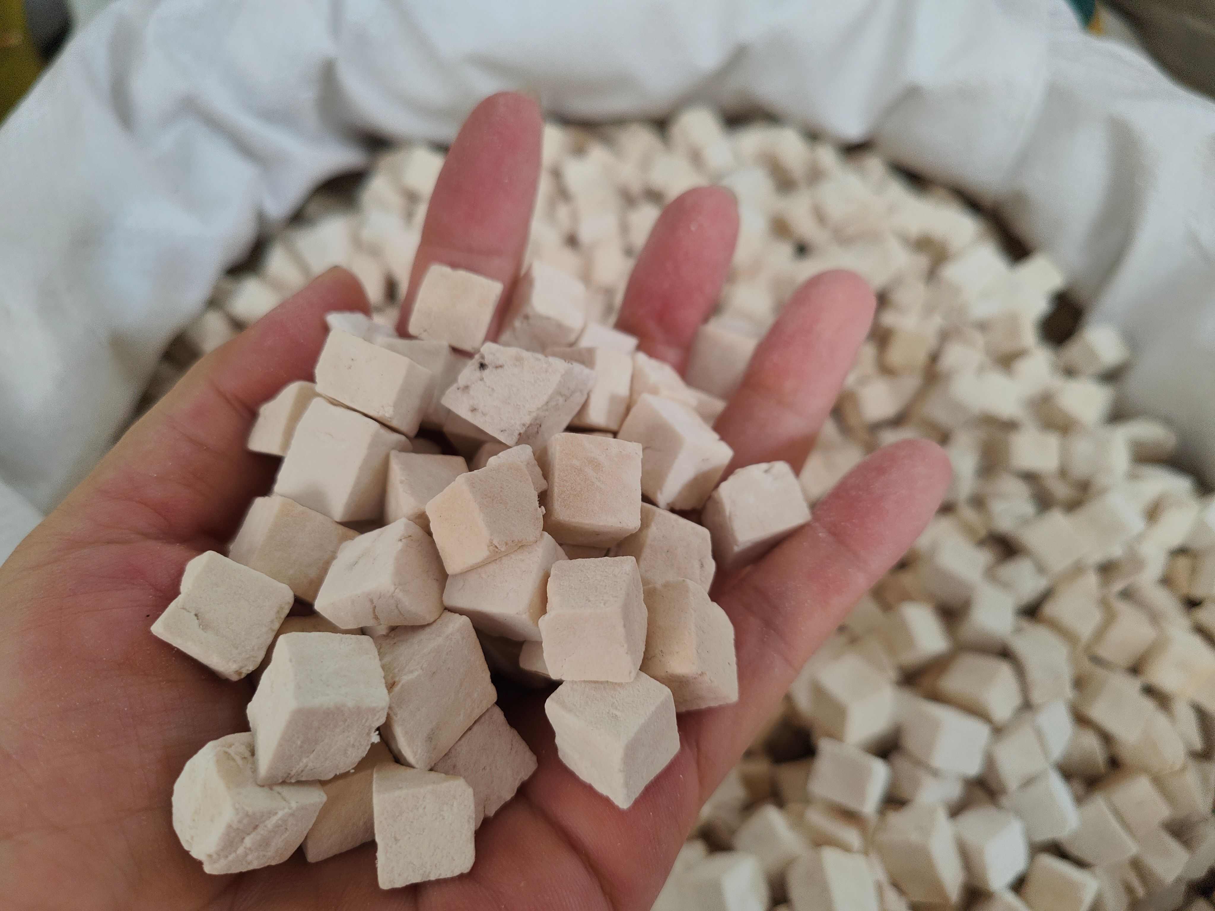 中药材茯苓