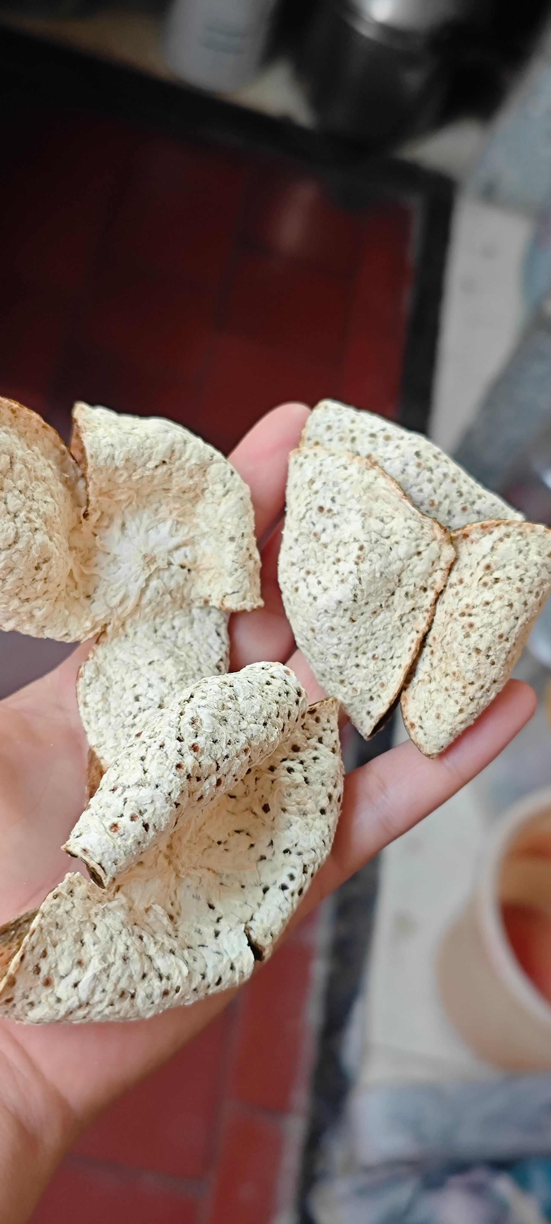 新会茶枝柑落地皮各年份二红大红皮陈皮醇香滋润天然不打药