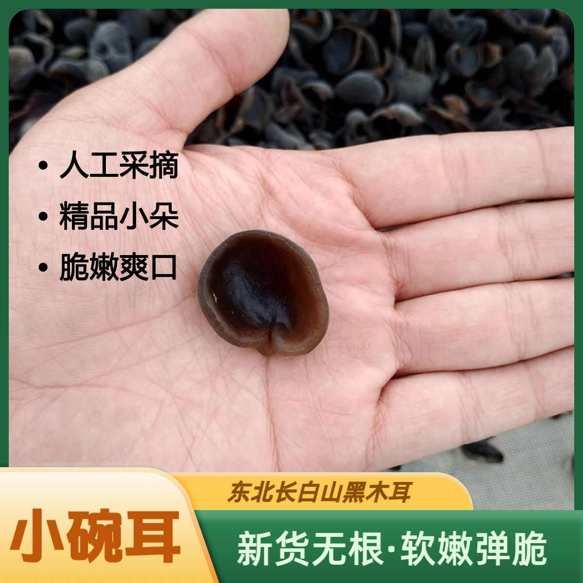 东北黑木耳干货长白山秋耳肉厚无根脆爽小碗耳500g/袋