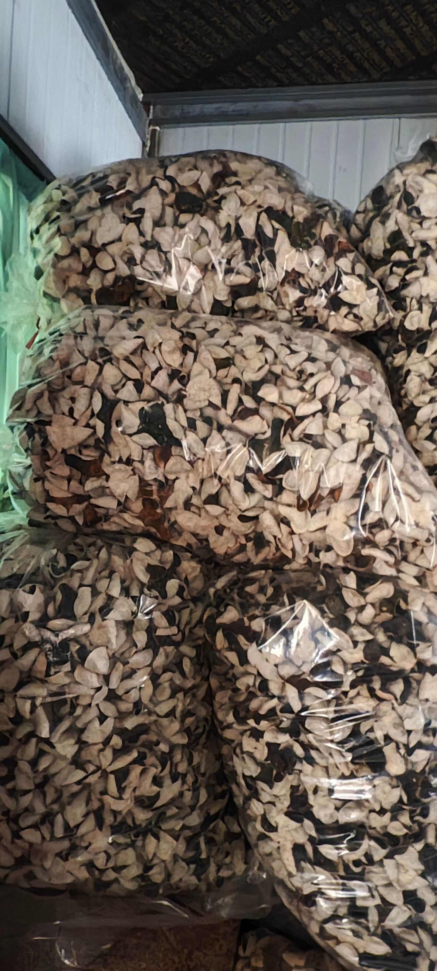 新会茶枝柑落地皮各年份二红大红皮陈皮醇香滋润天然不打药