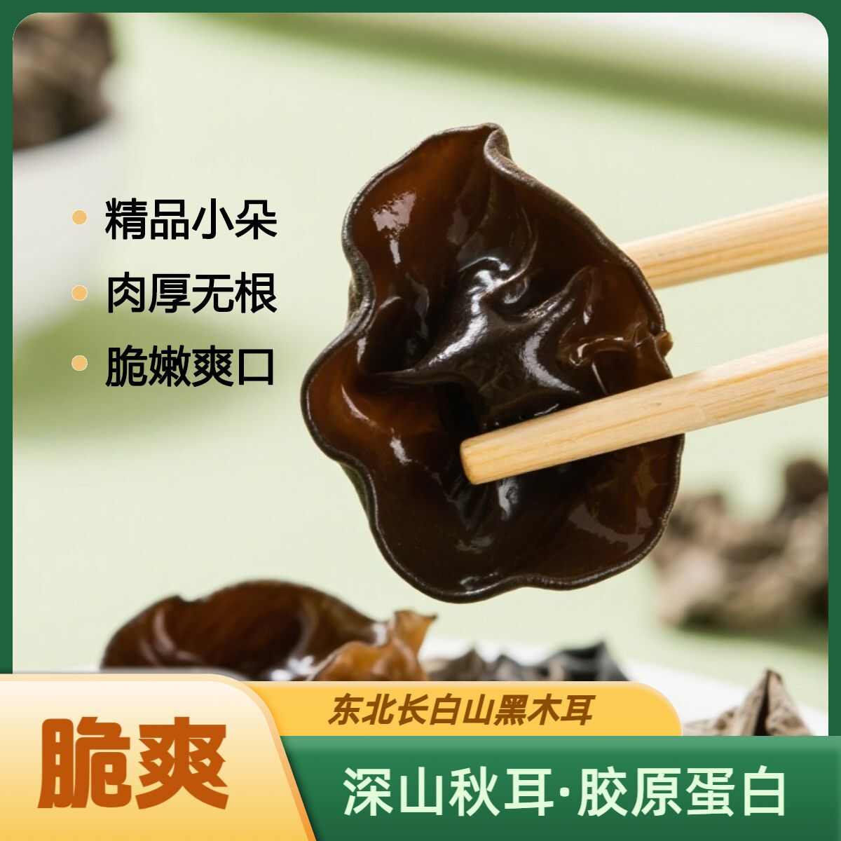 东北黑木耳干货头茬无根肉厚软嫩脆爽长白山椴木秋耳250g/袋
