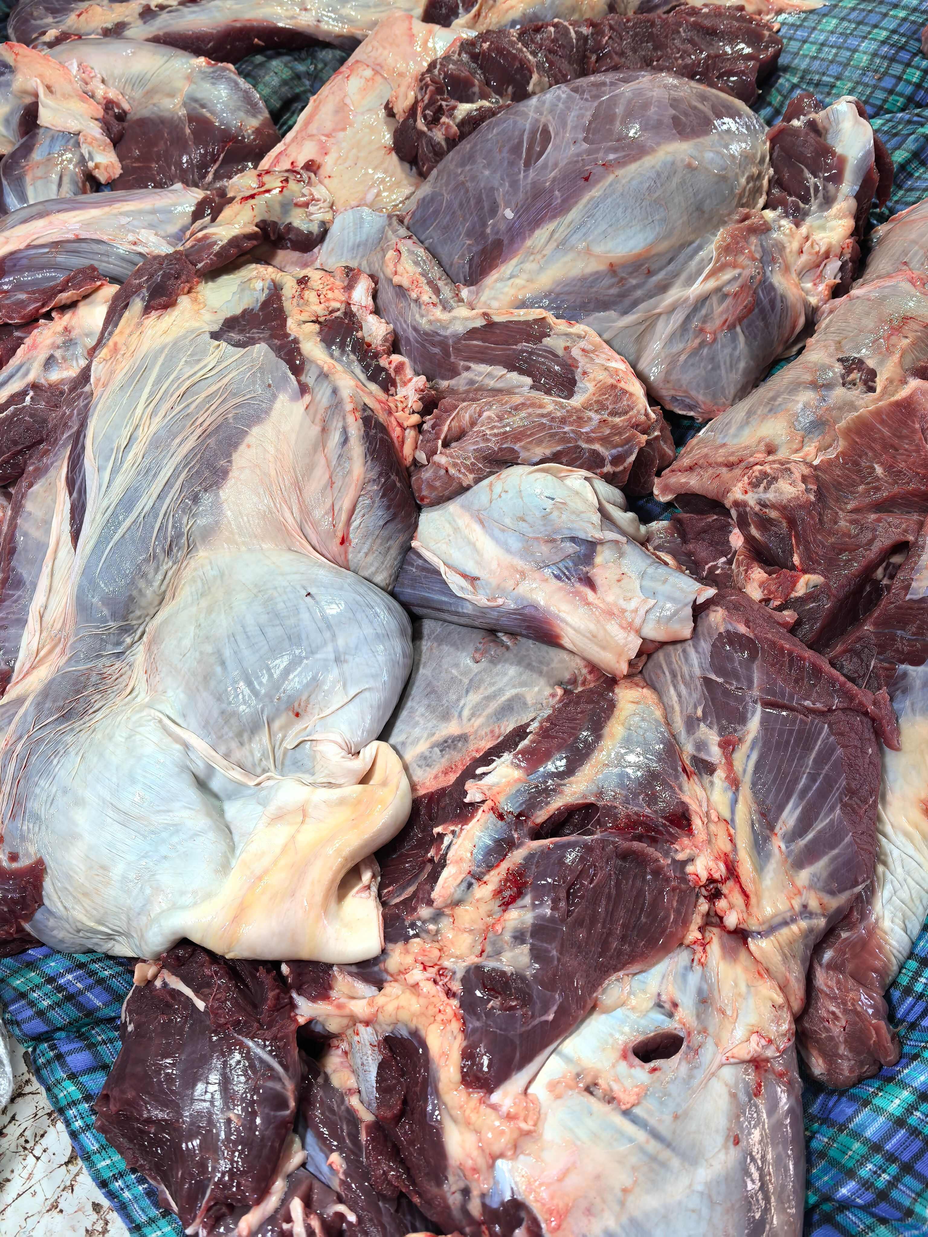 国产牛肉 本地黄牛肉 五斤独立包装 有长期稳定供应能力