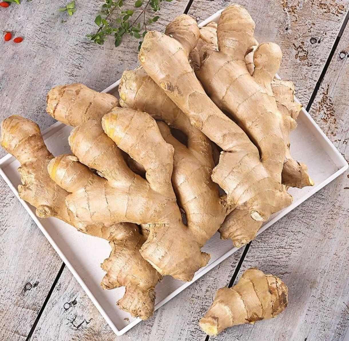 "在山东安丘的生姜种植基地，姜农们沿用传统种植方式，不催熟、