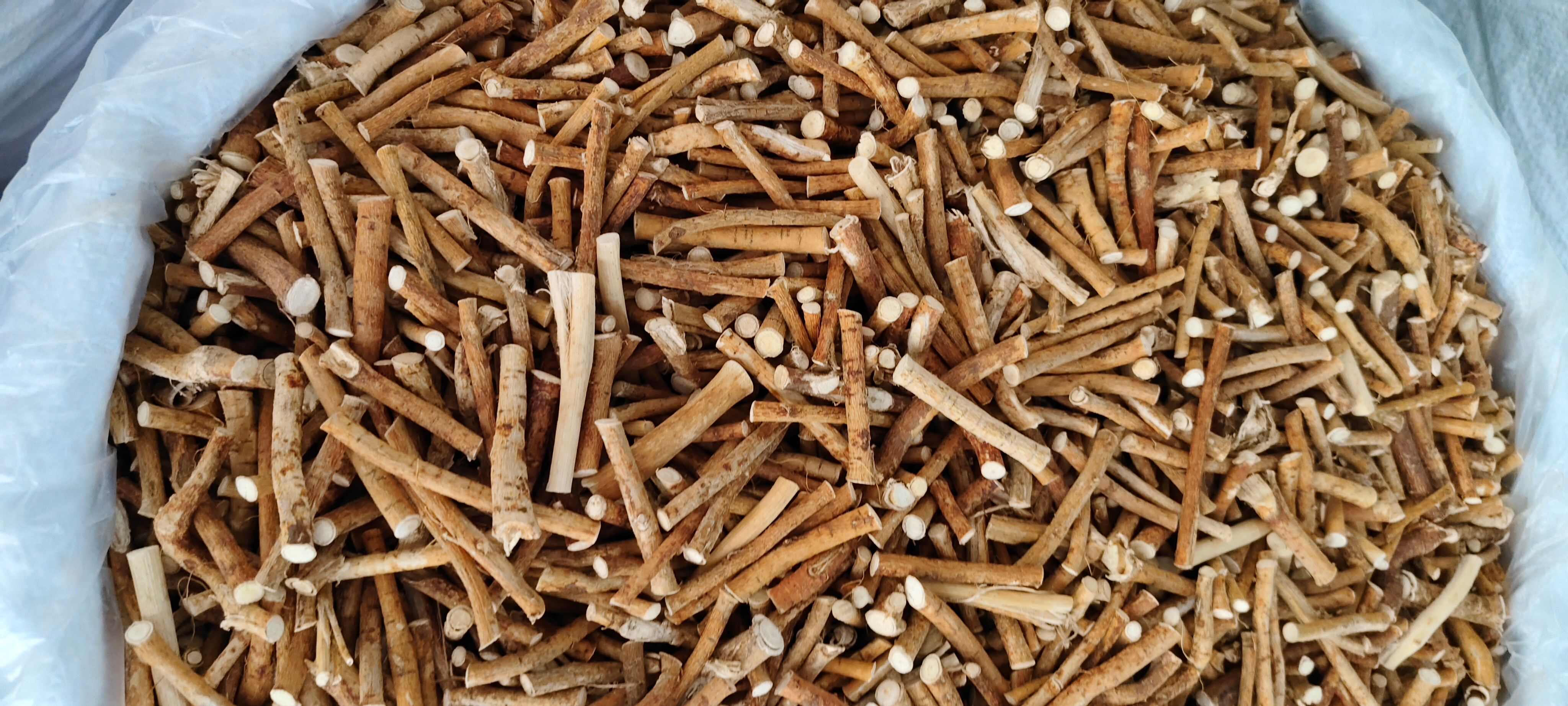 五指毛桃，五指牛奶根