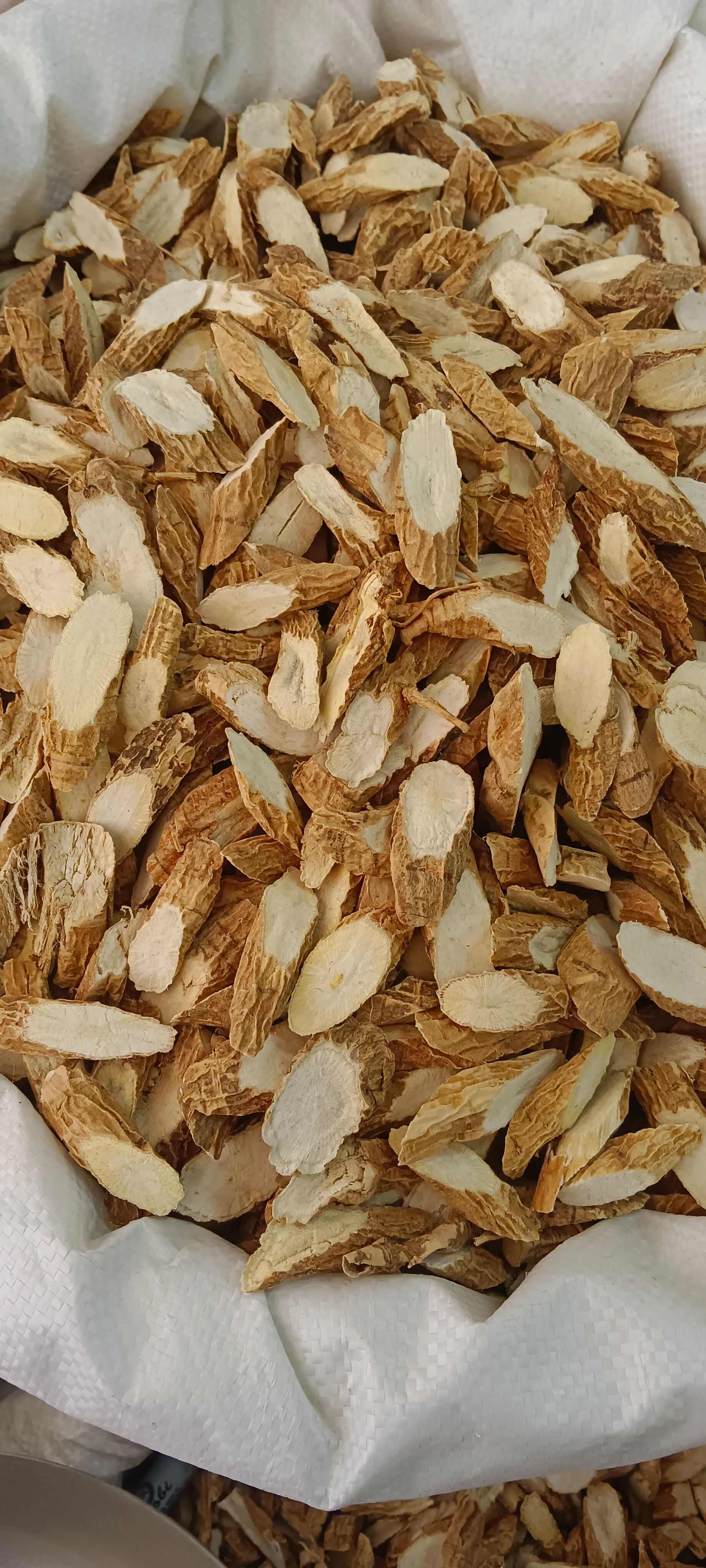 牛大力，粉质牛大力