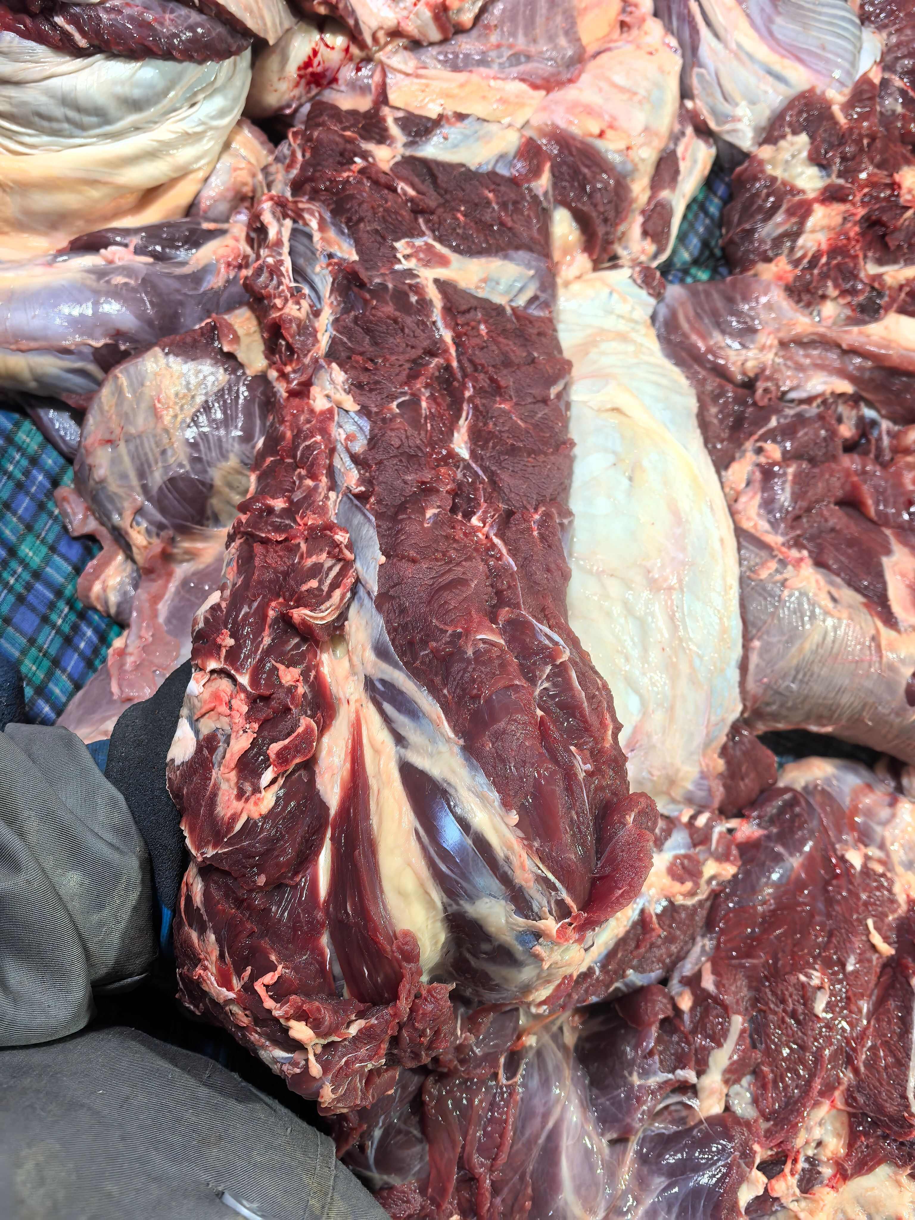 国产牛肉 本地黄牛肉 五斤独立包装 有长期稳定供应能力
