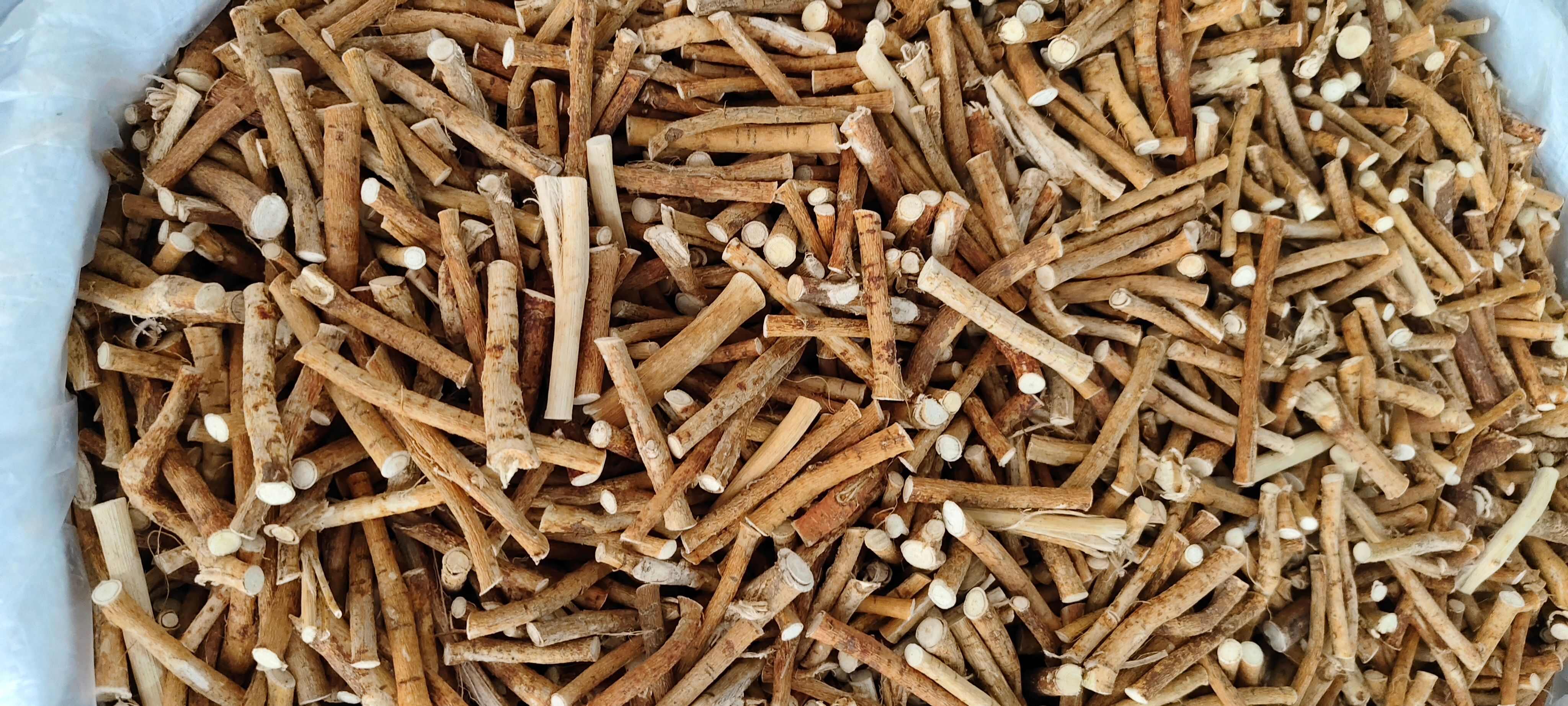 五指毛桃，五指牛奶根