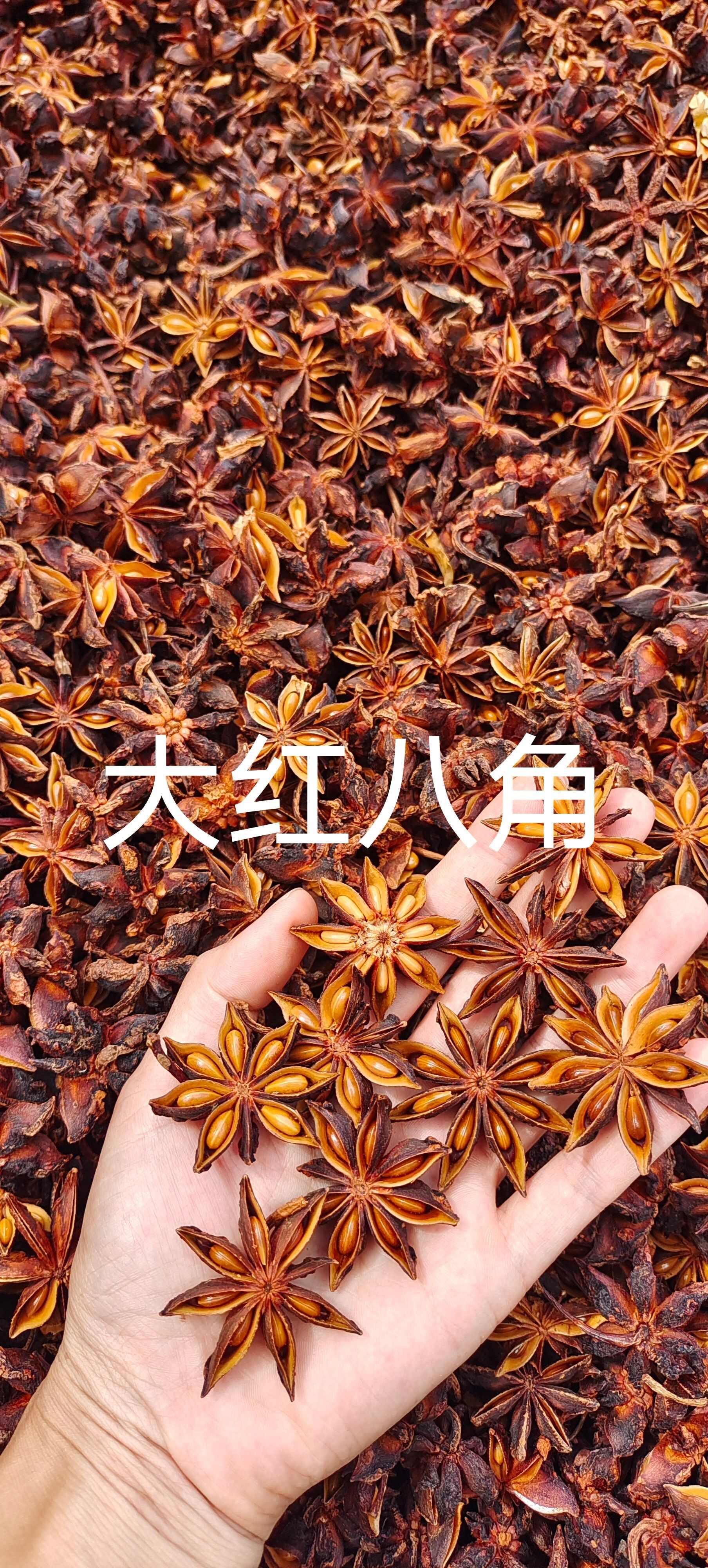 [天然无硫】广西无硫新货八角大料茴香调料香料卤料毛尖组合
