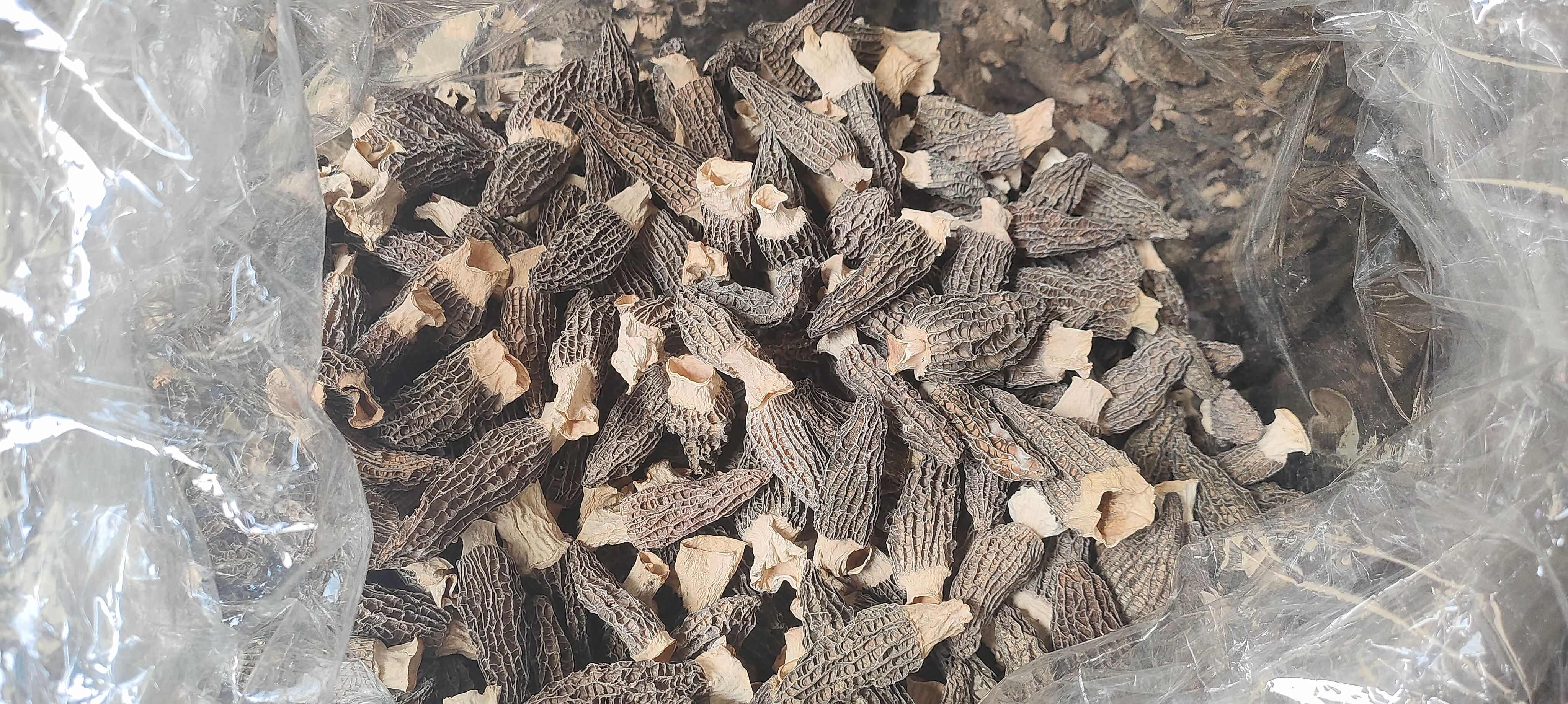 广西玉林羊肚菌干货玉林发货