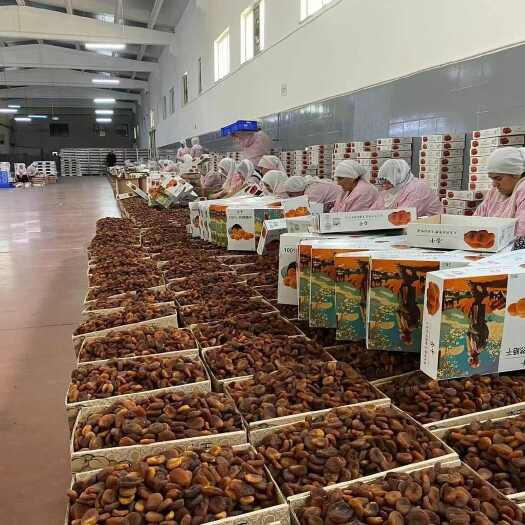 新郑市土耳其黑杏干