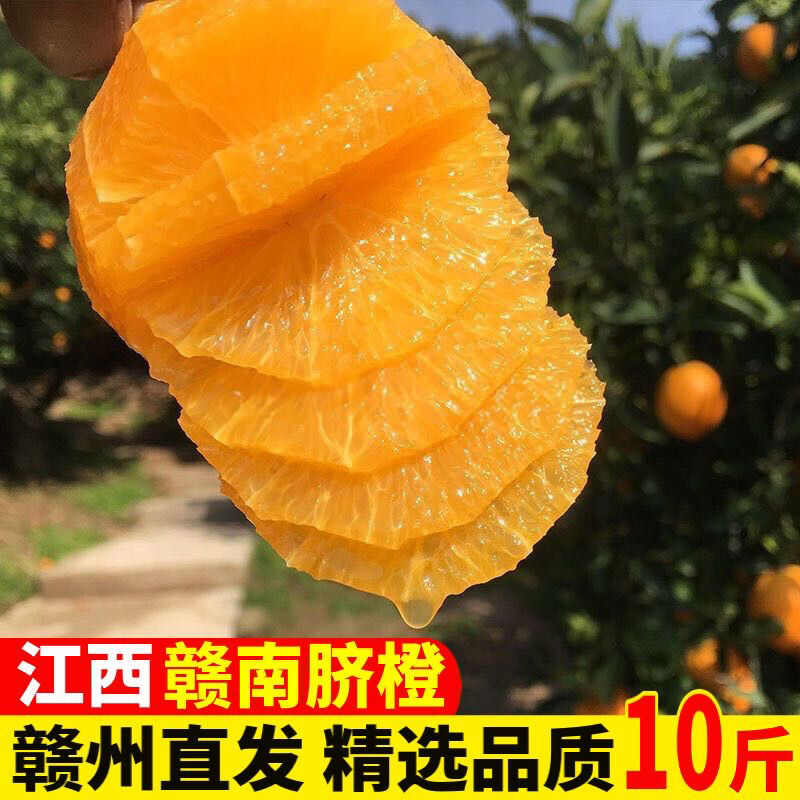 2025赣南脐橙江西橙子新鲜水果 5/10斤赣州手剥甜橙