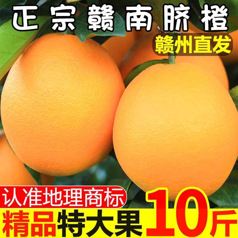 2025赣南脐橙江西橙子新鲜水果 5/10斤赣州手剥甜橙