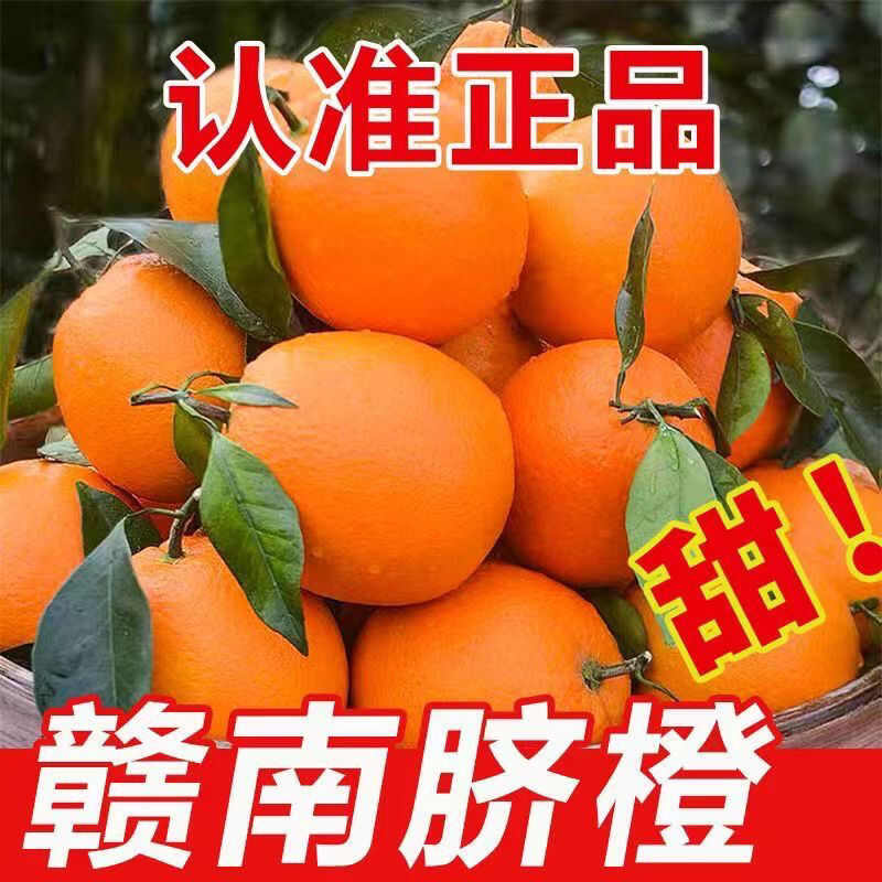 2025赣南脐橙江西橙子新鲜水果 5/10斤赣州手剥甜橙