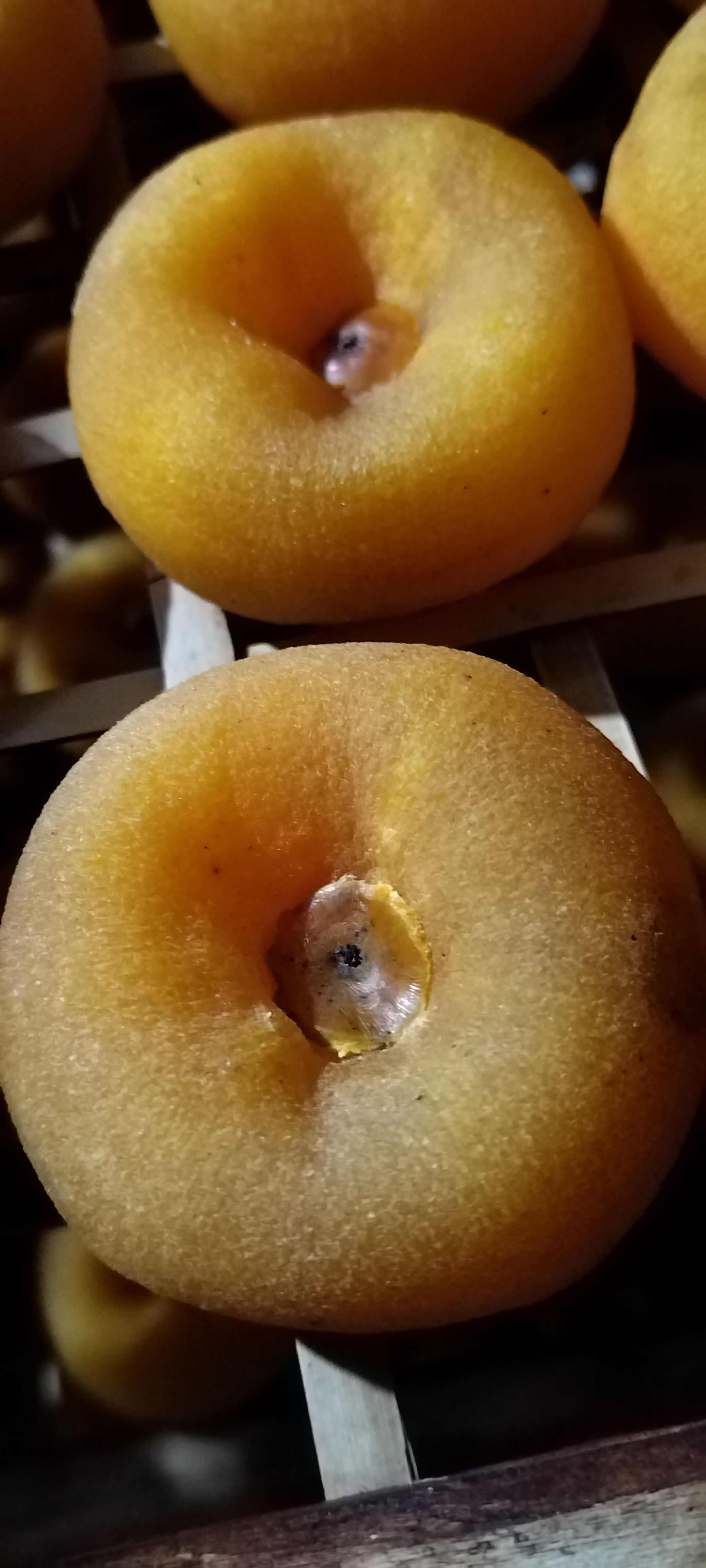 广西恭城柿饼产地直发土特产月柿果干果脯优选自然晾晒农家风味