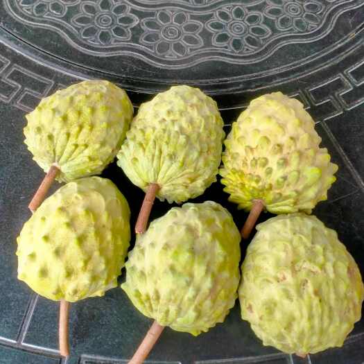 清远市本地、薄皮、释迦果、农家肥种植,更清甜、更美味!