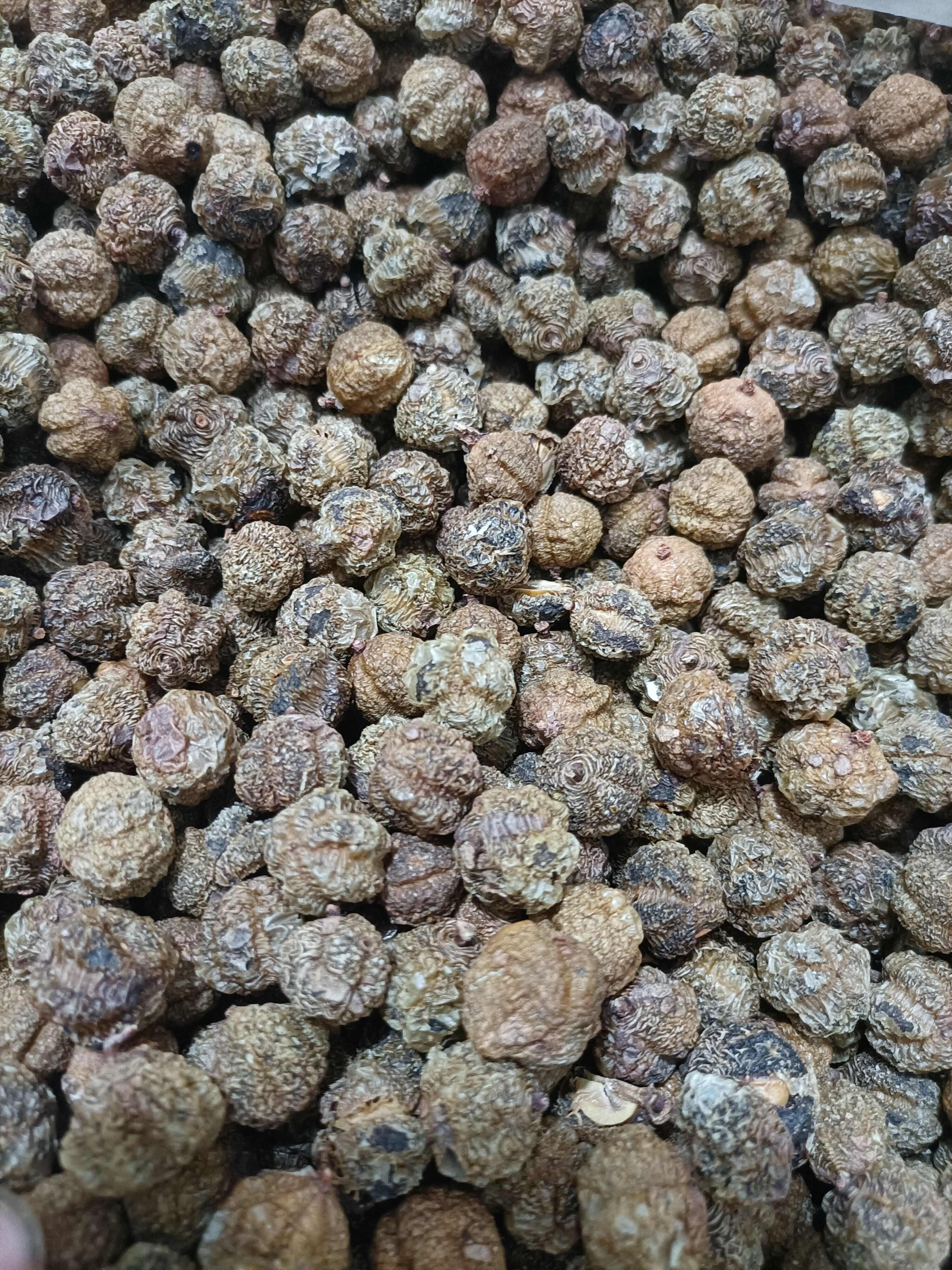 云南无硫烤干余甘子滇橄榄