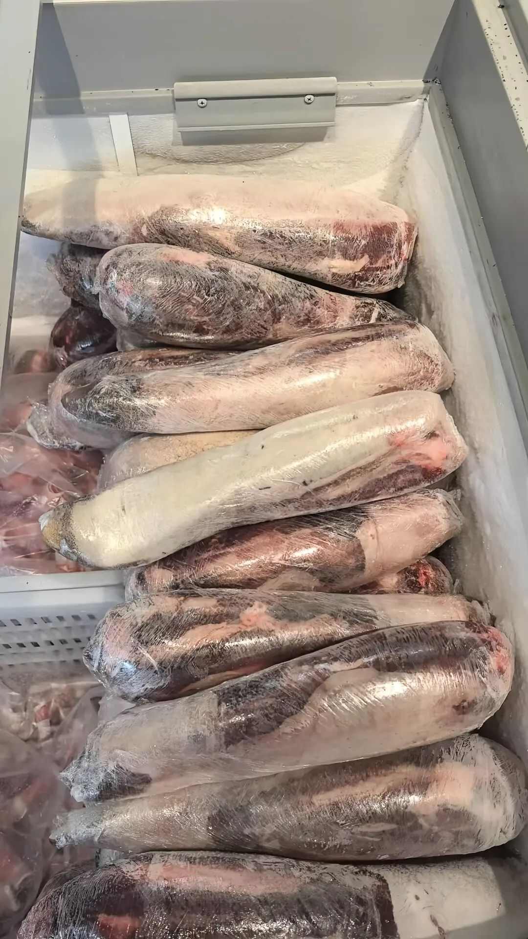 牛副产品 软嫩多汁 厚切精品 整条精修 去皮美味