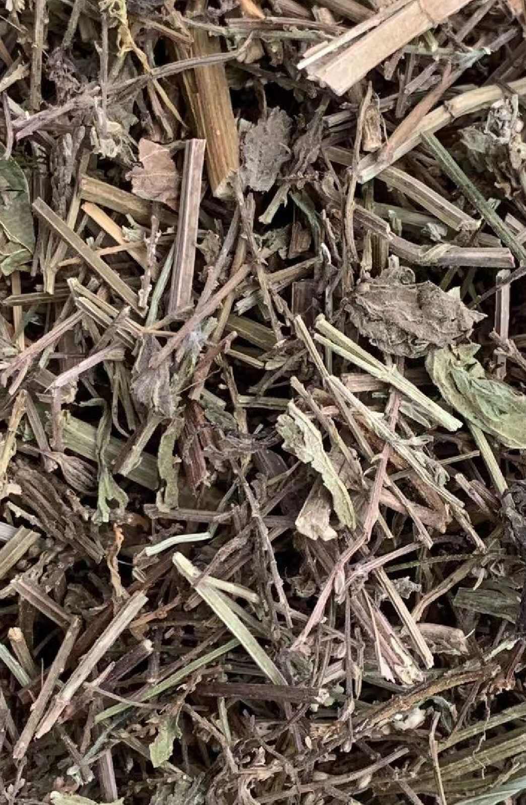 马鞭草货品均实物拍摄一手货源产地直发