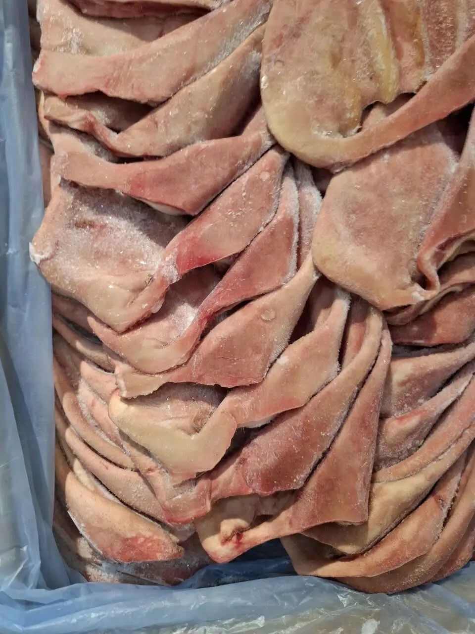 猪副产品 精修处理 爽脆可口 卤拌烧烤 冷冻猪耳朵